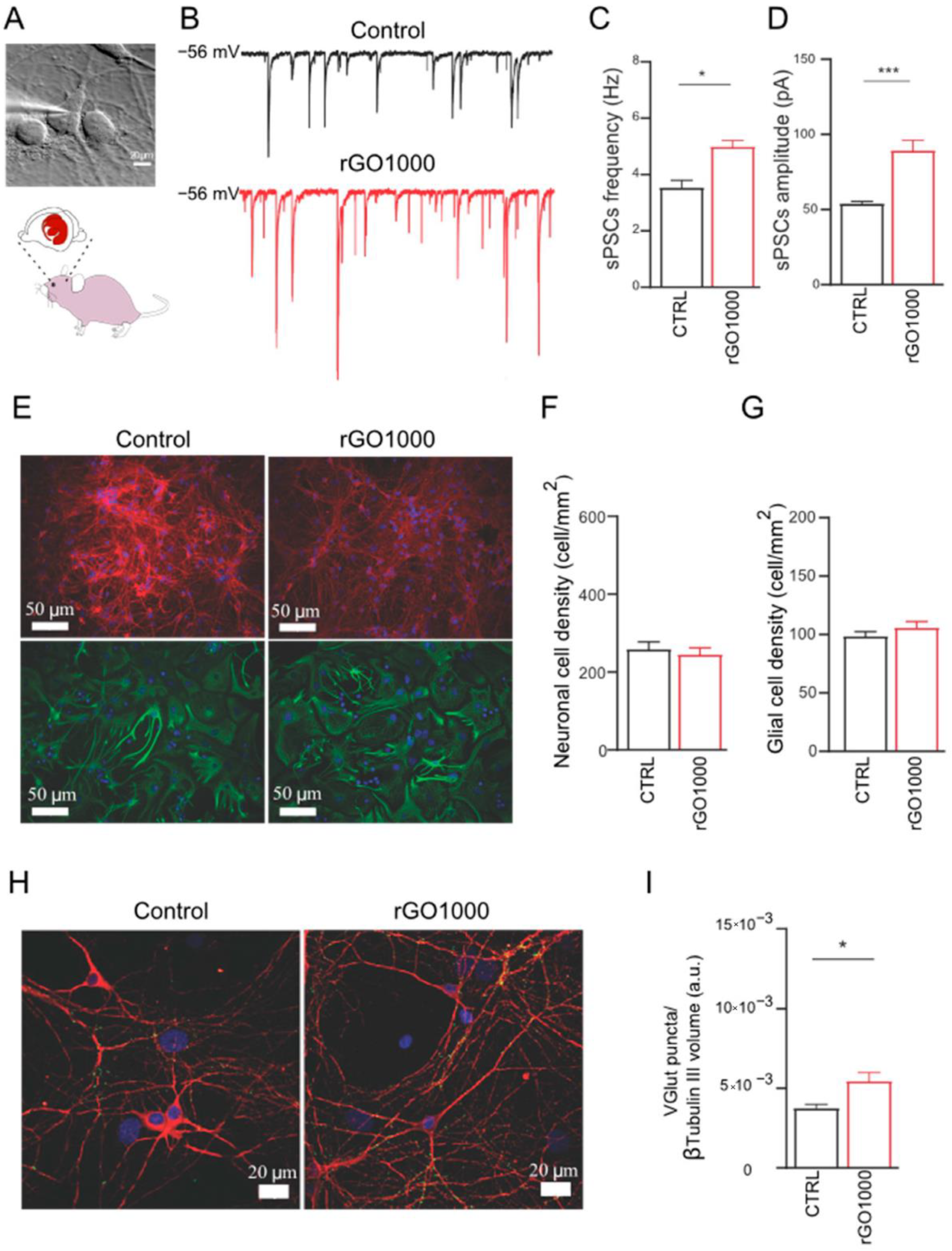 Ijms 23 08245 g002 Ijms 23 08245 g002