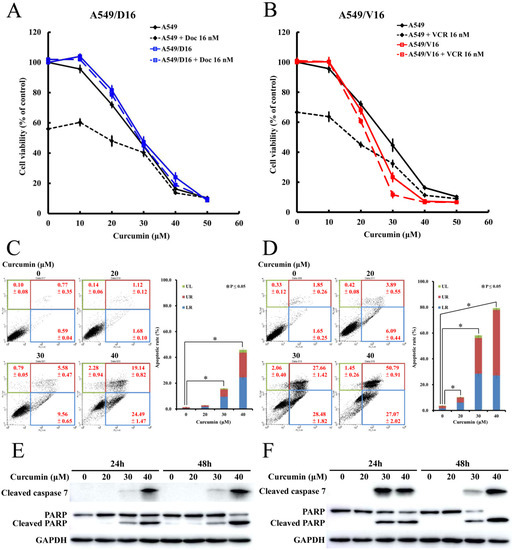 Curcumin Induces Apoptosis of Chemoresistant Lung Cancer Cells via