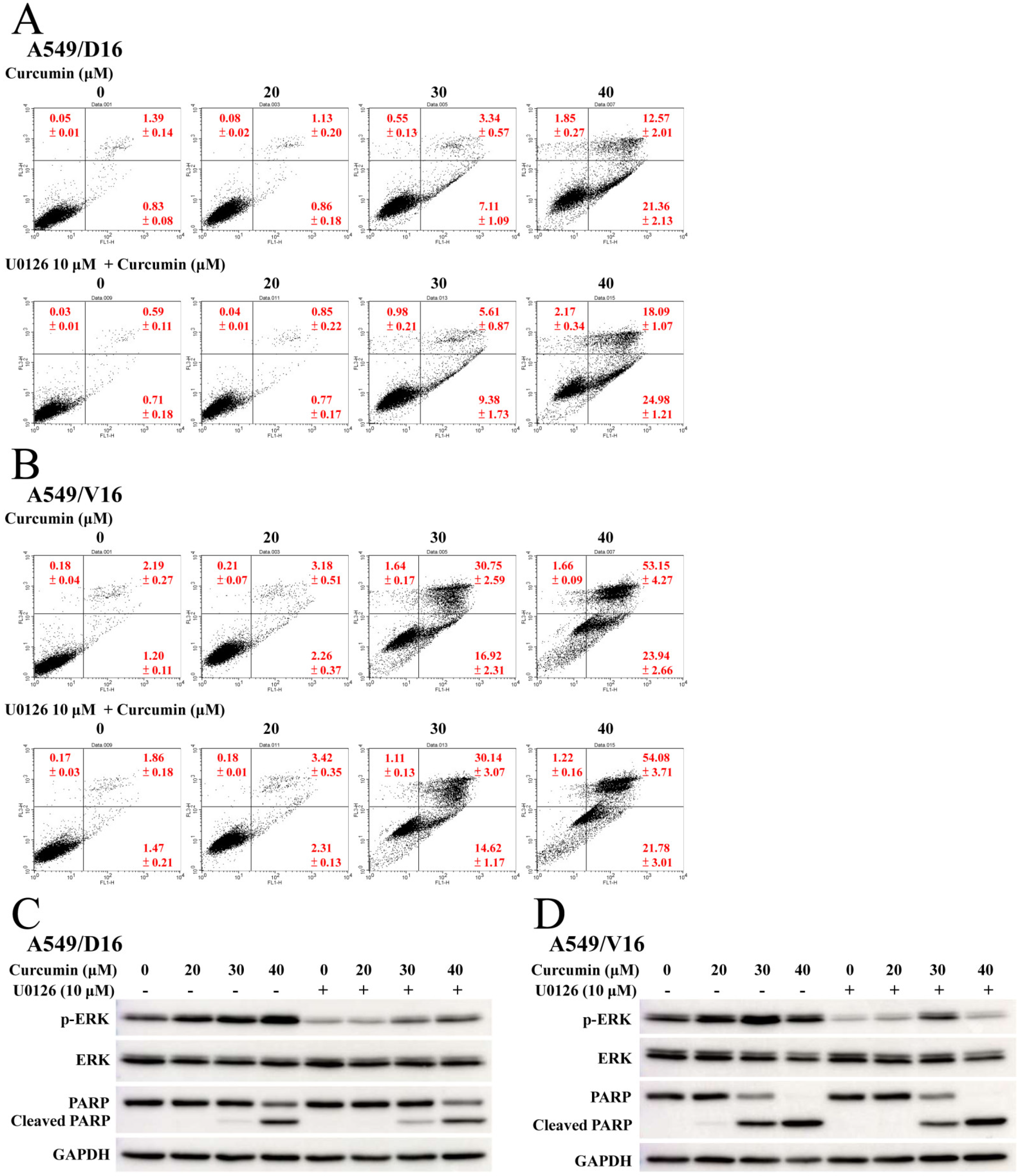 Ijms 23 08248 g005 550