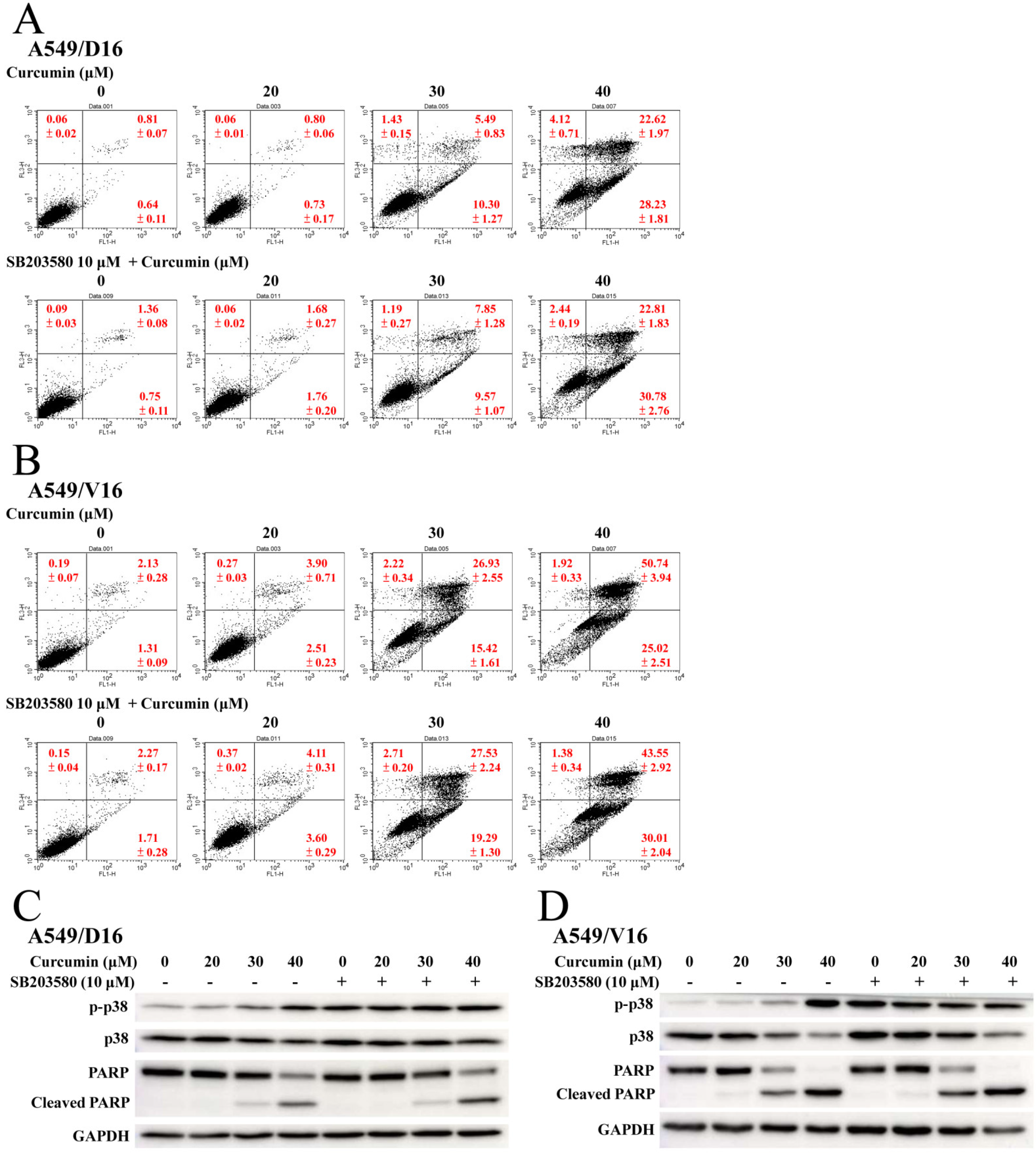 Ijms 23 08248 g006 550