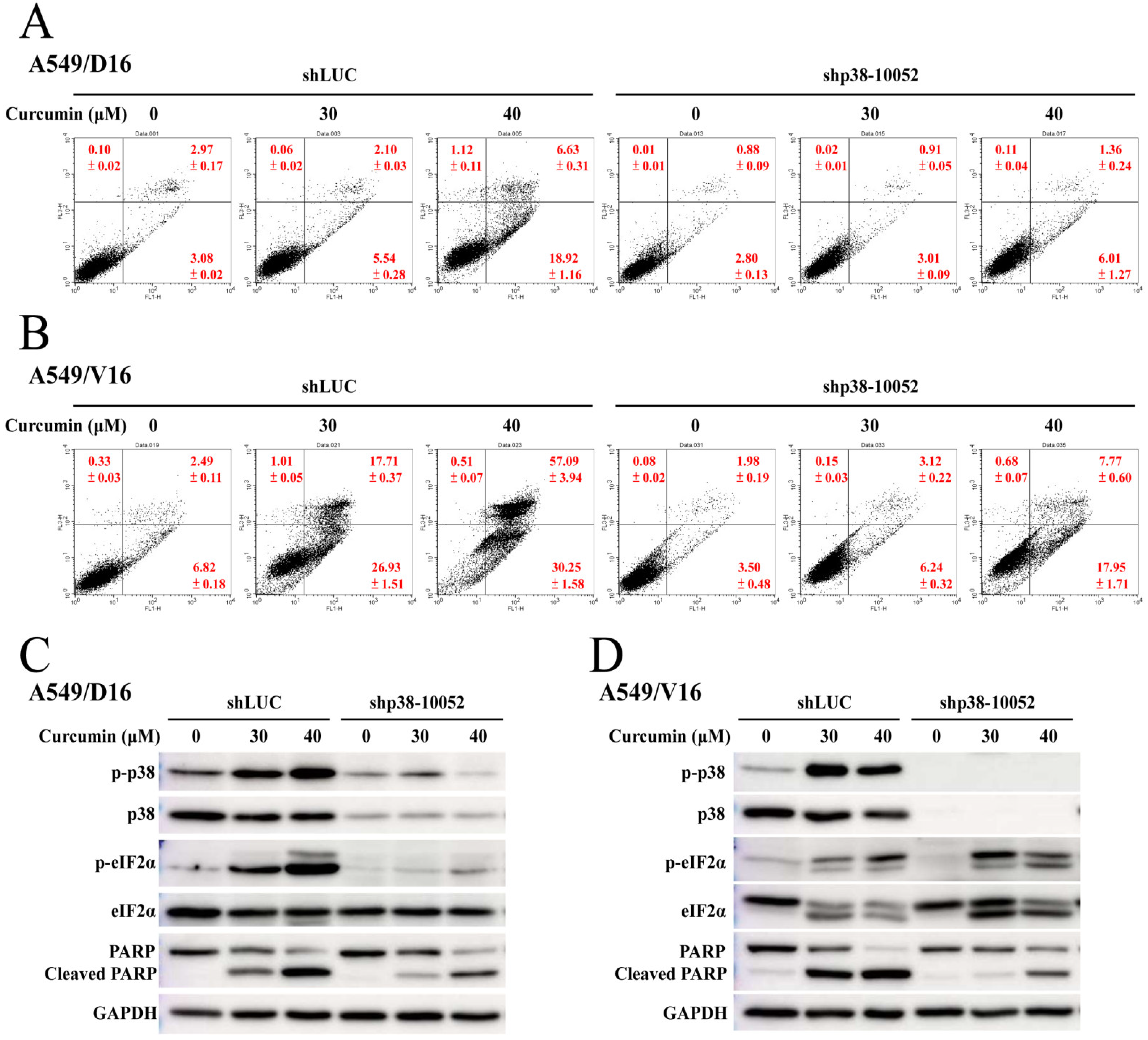 Ijms 23 08248 g007 550
