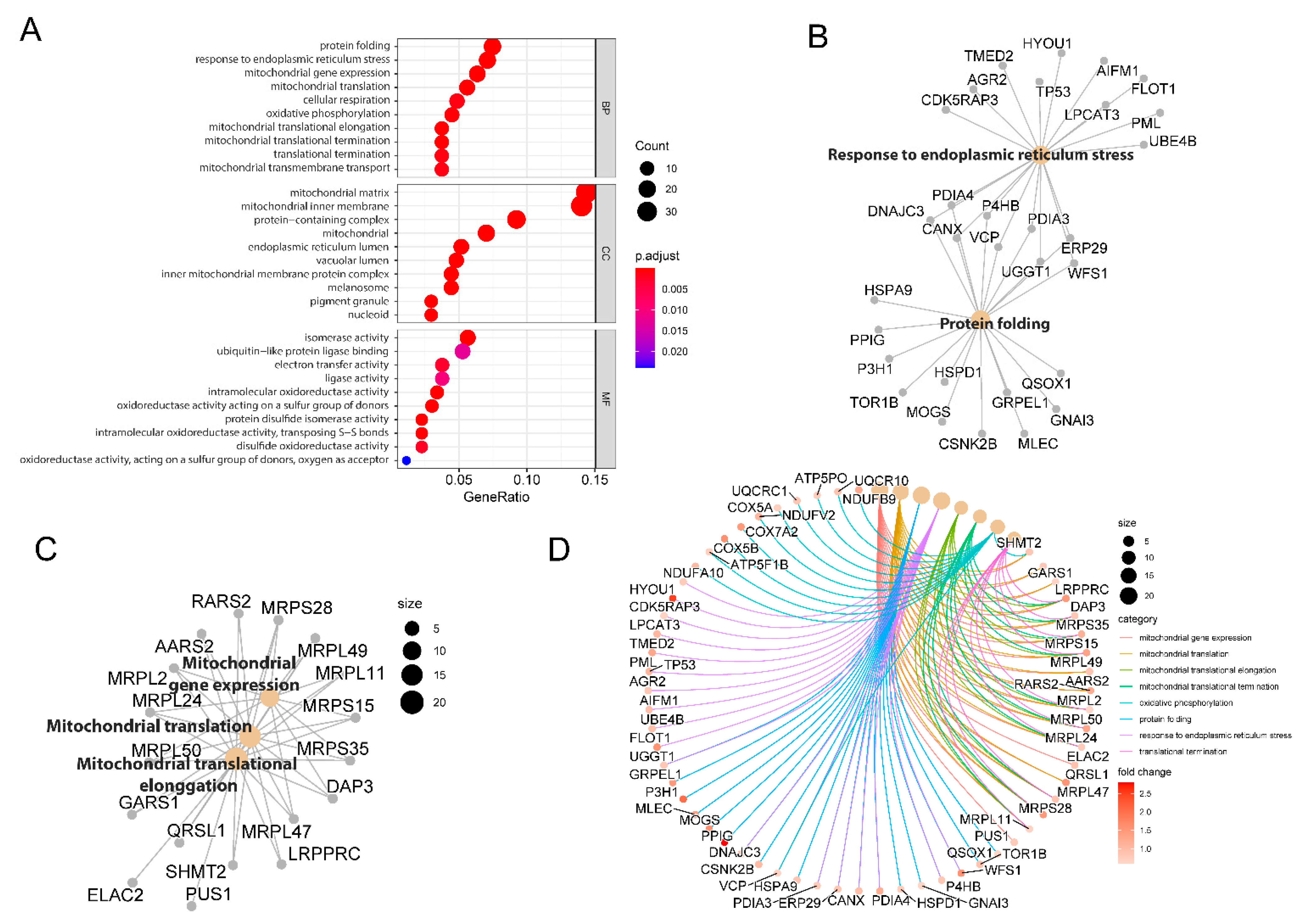 Ijms 23 08251 g002 Ijms 23 08251 g002