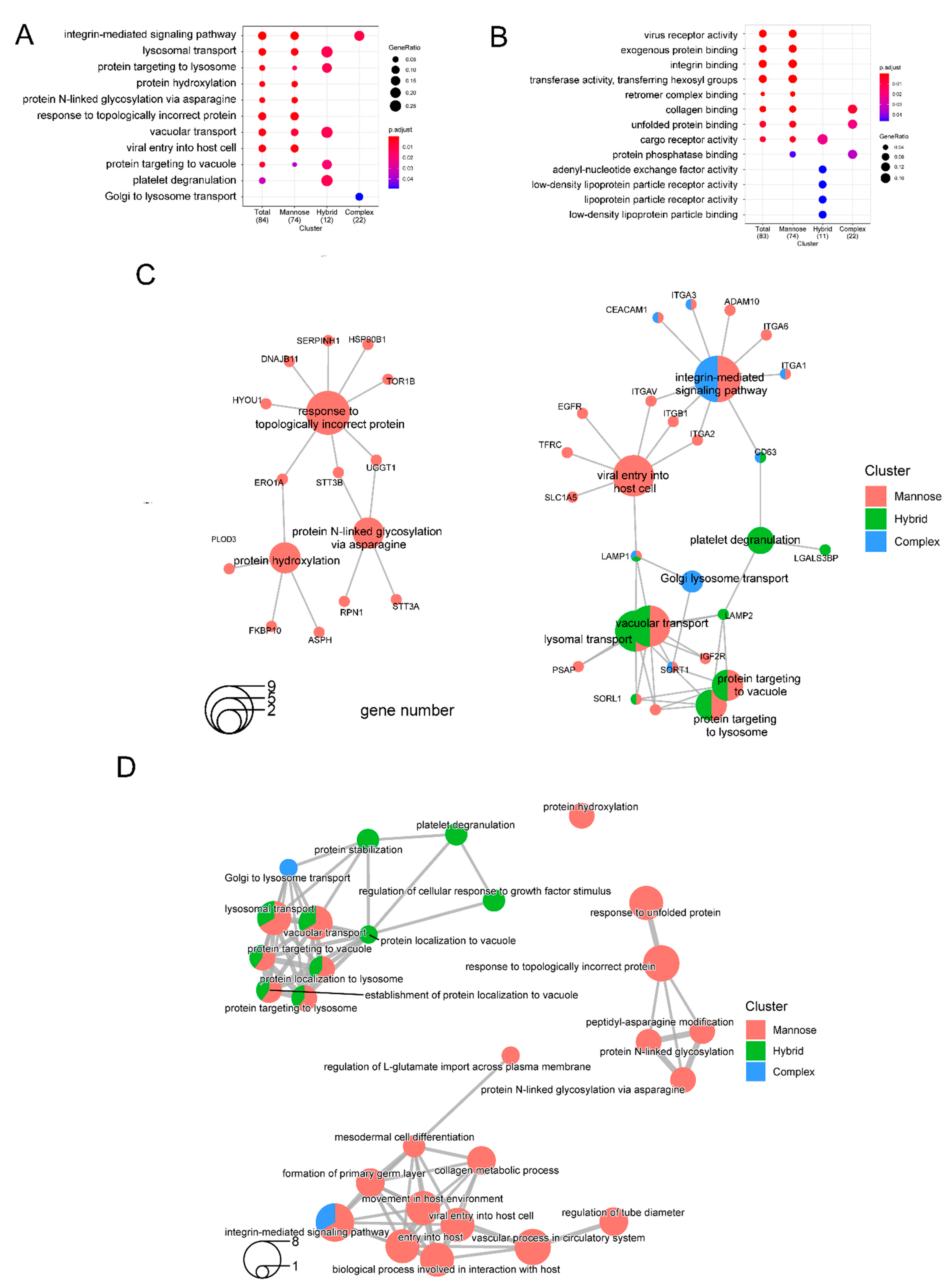 Ijms 23 08251 g005 Ijms 23 08251 g005