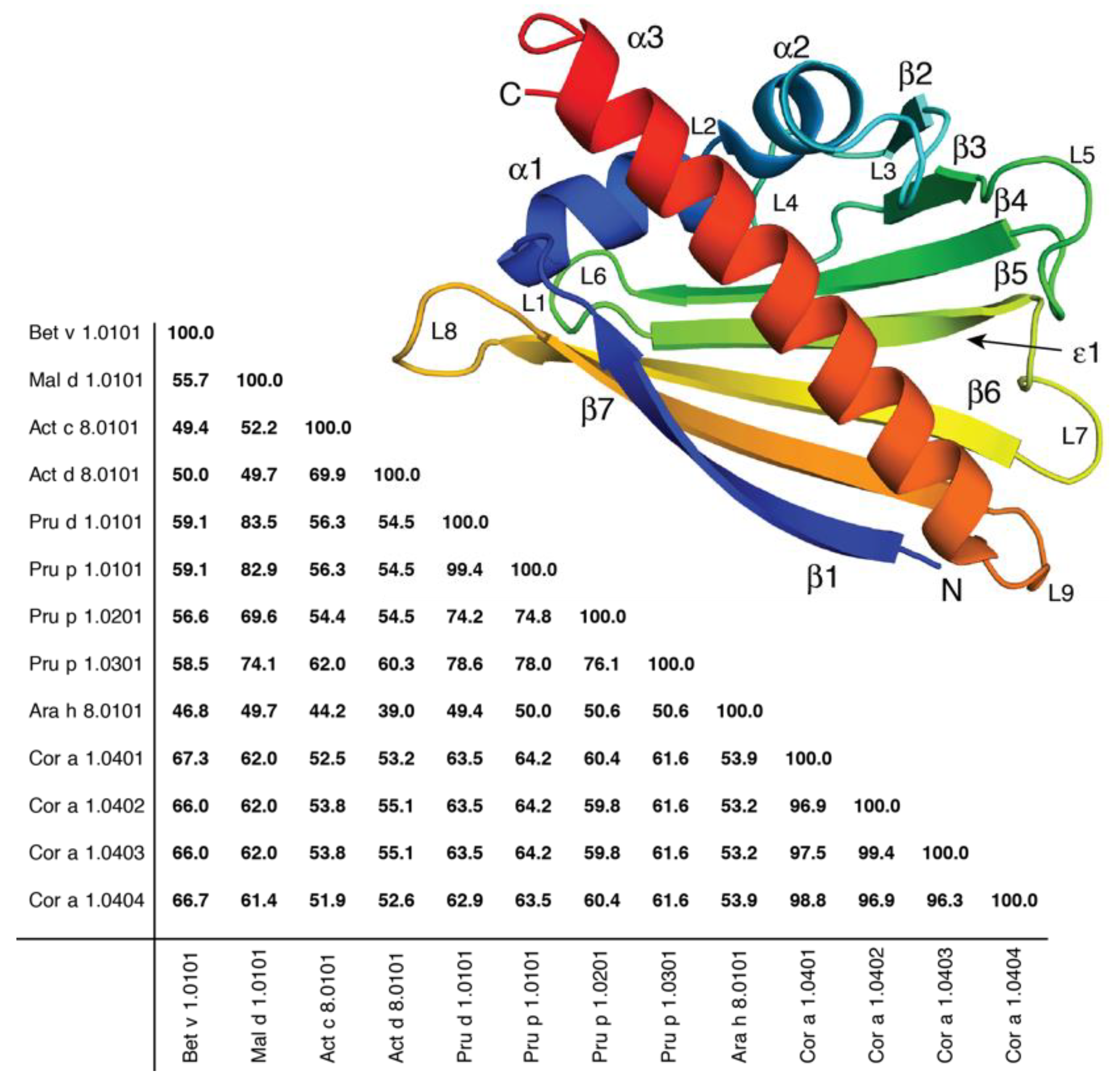 IJMS | Free Full-Text | The Structural Flexibility of PR-10 Food Allergens