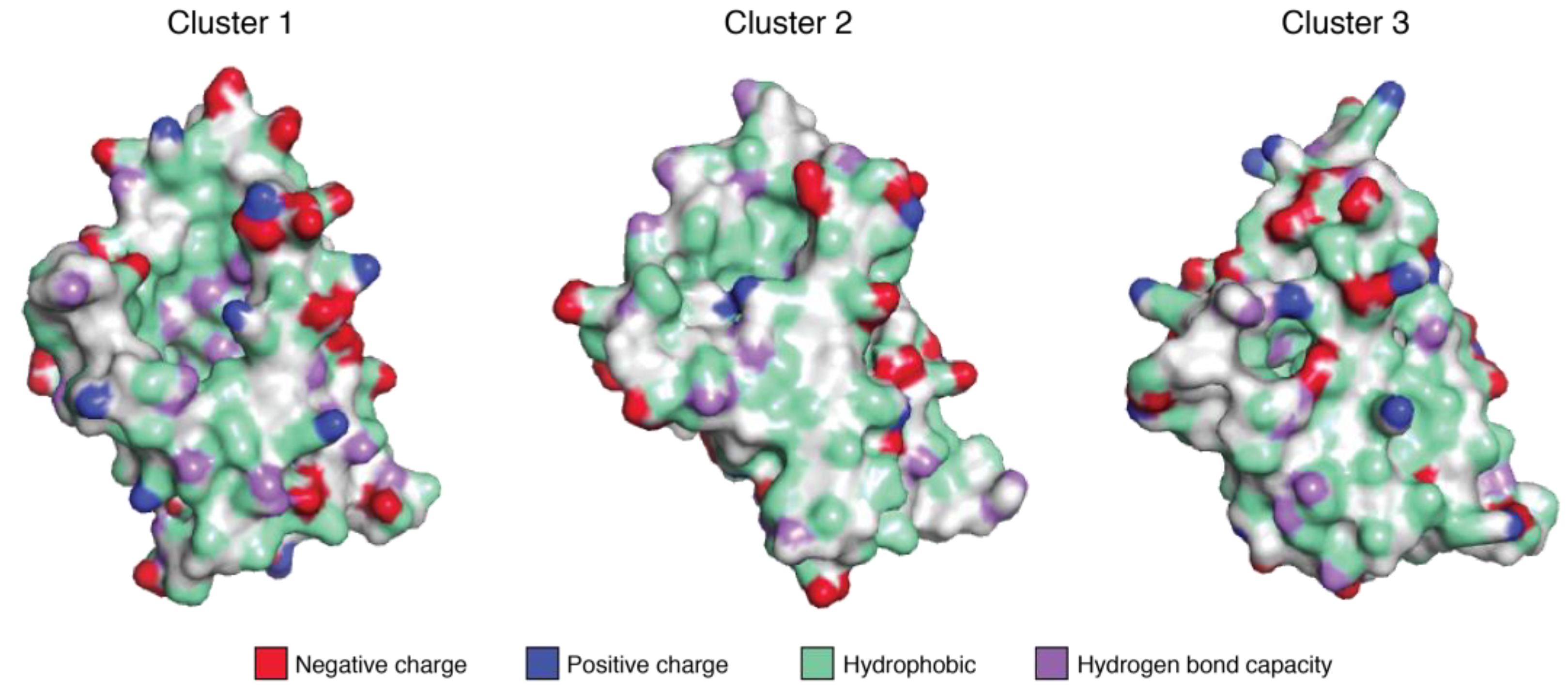 Ijms 23 08252 g002 550