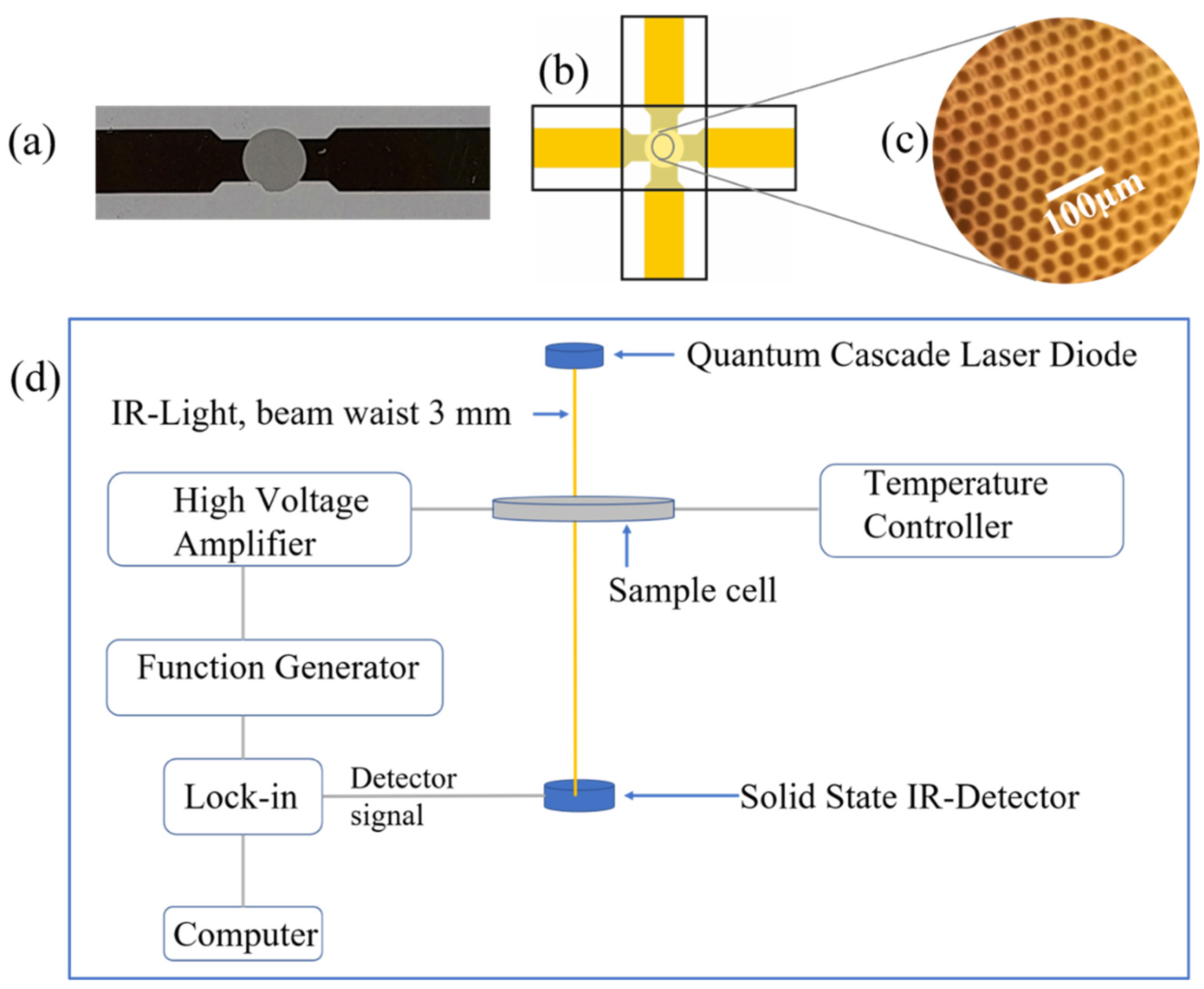 Ijms 23 08254 g004 550