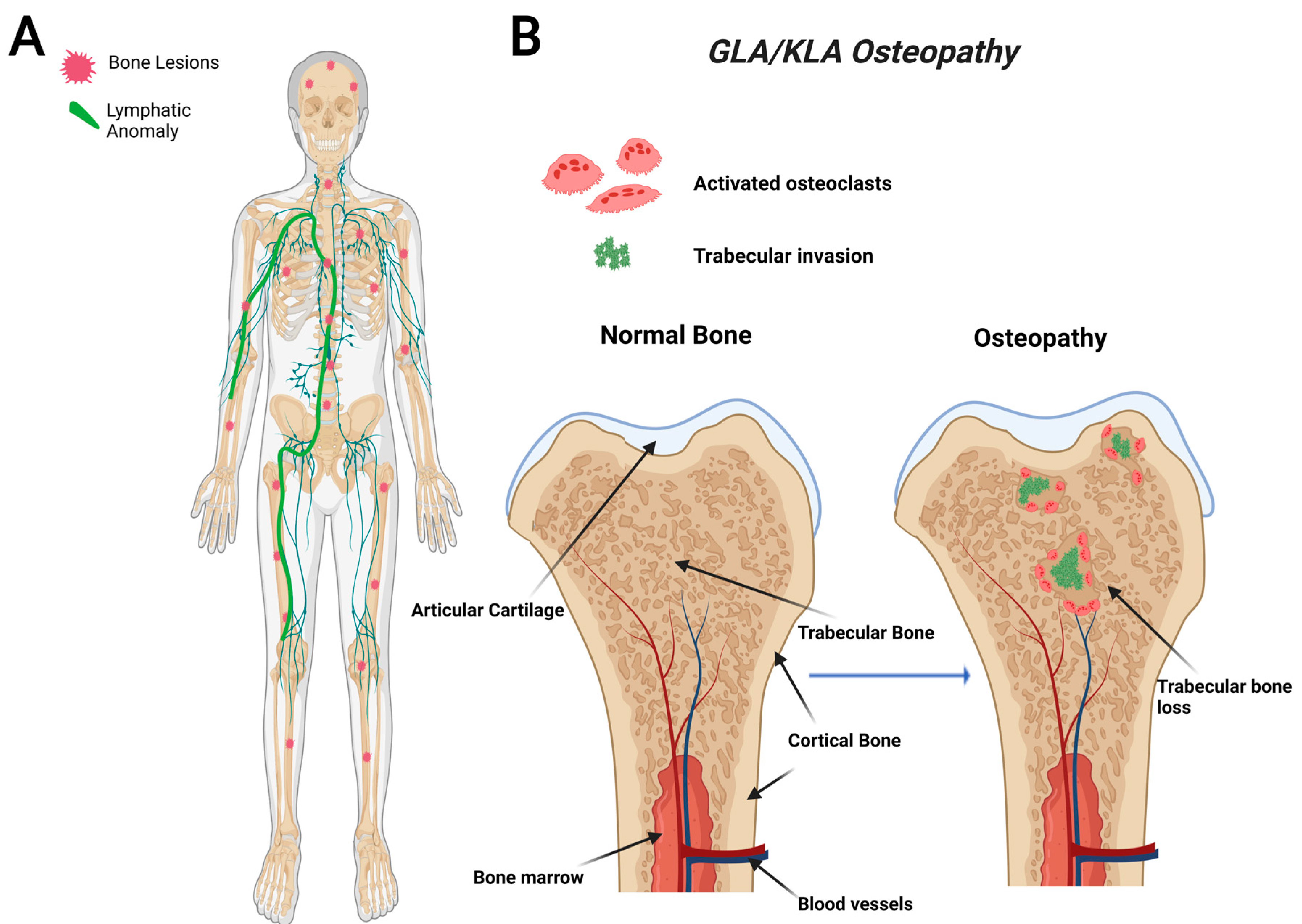 Ijms 23 08258 g002 550