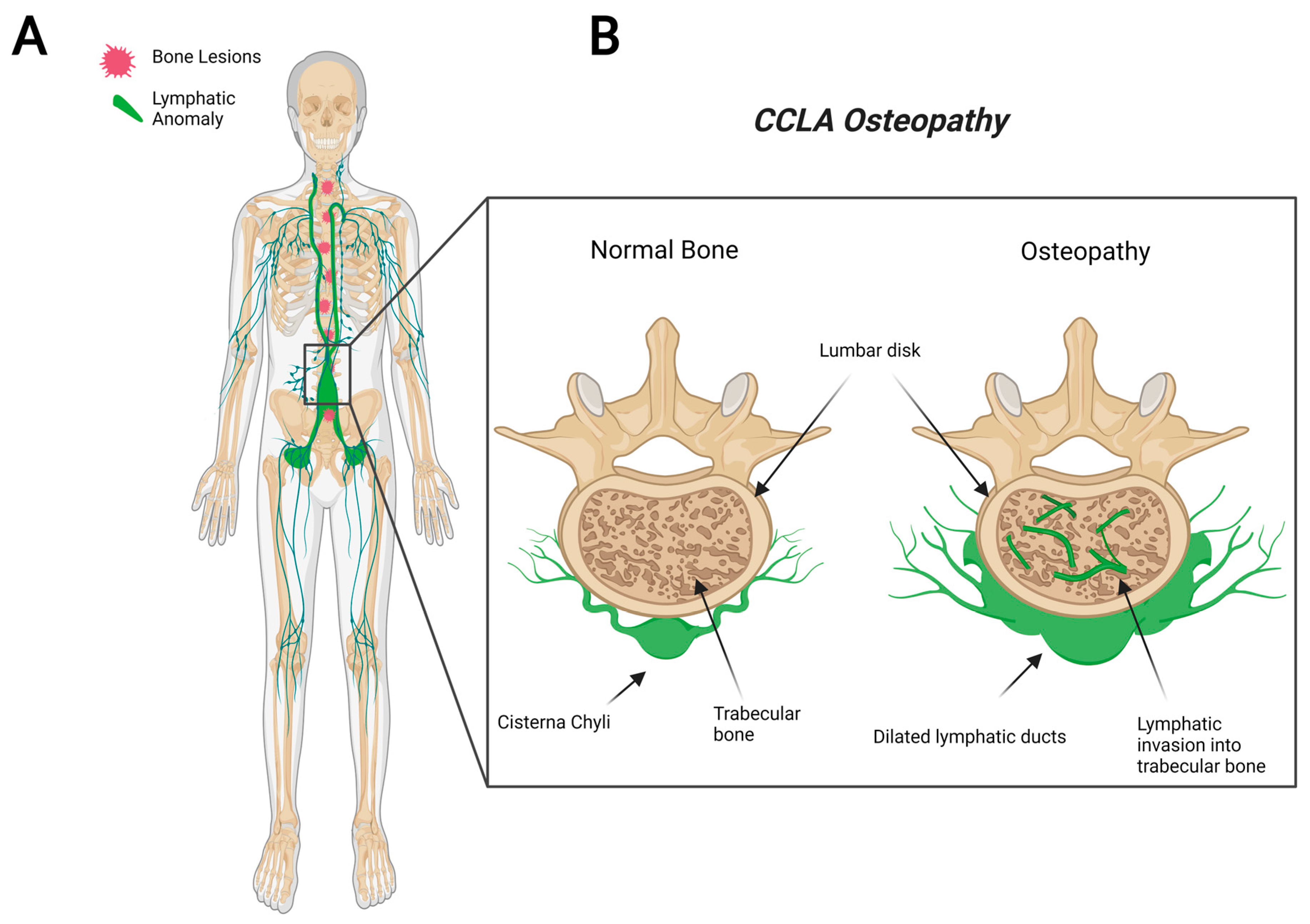 Ijms 23 08258 g003 550