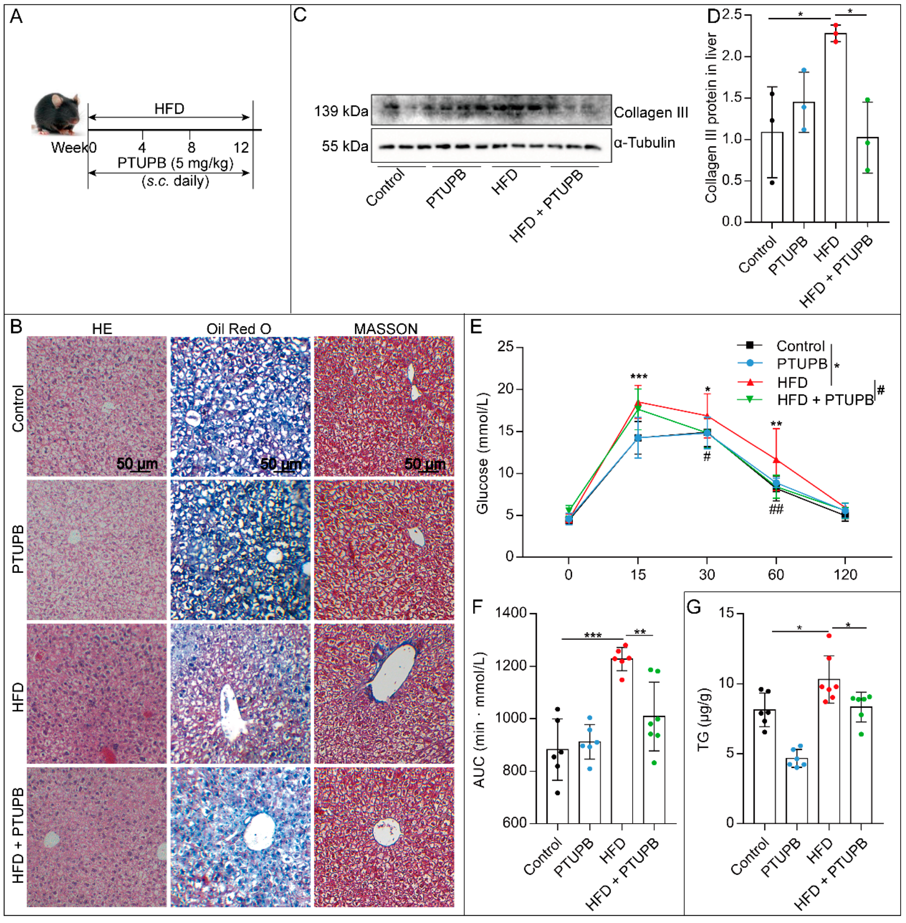 Ijms 23 08267 g001 550