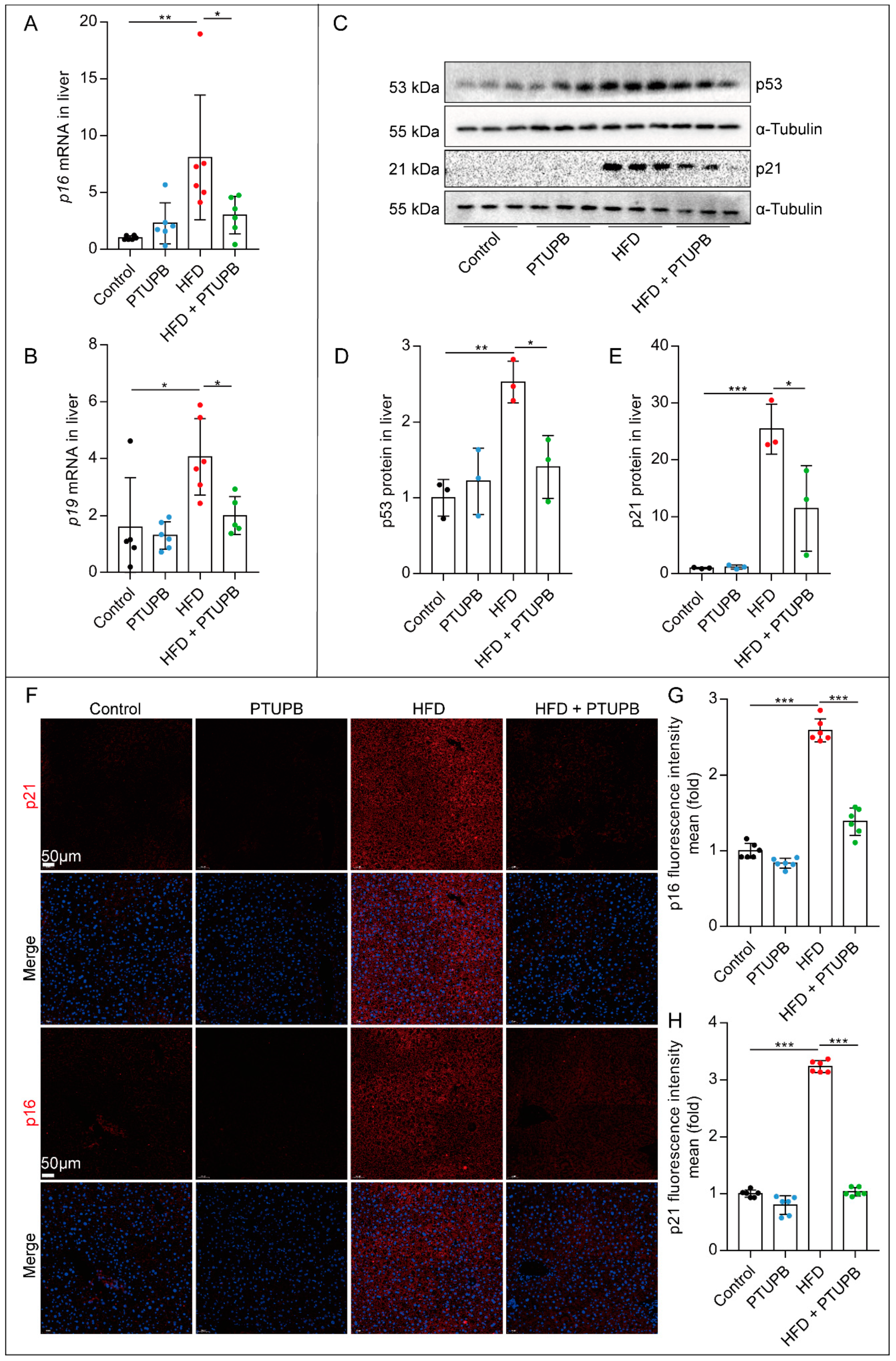 Ijms 23 08267 g002 550