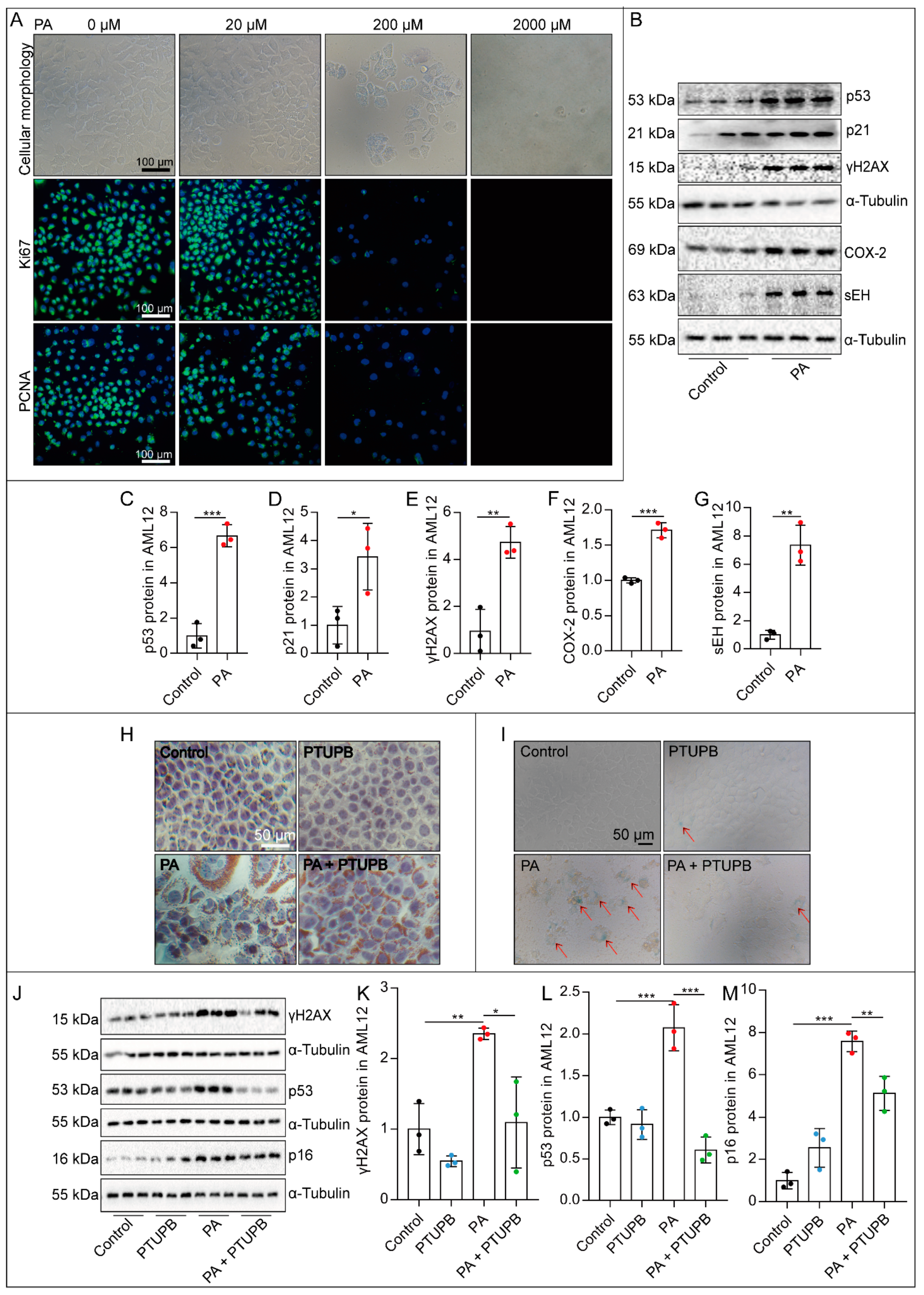 Ijms 23 08267 g003 550