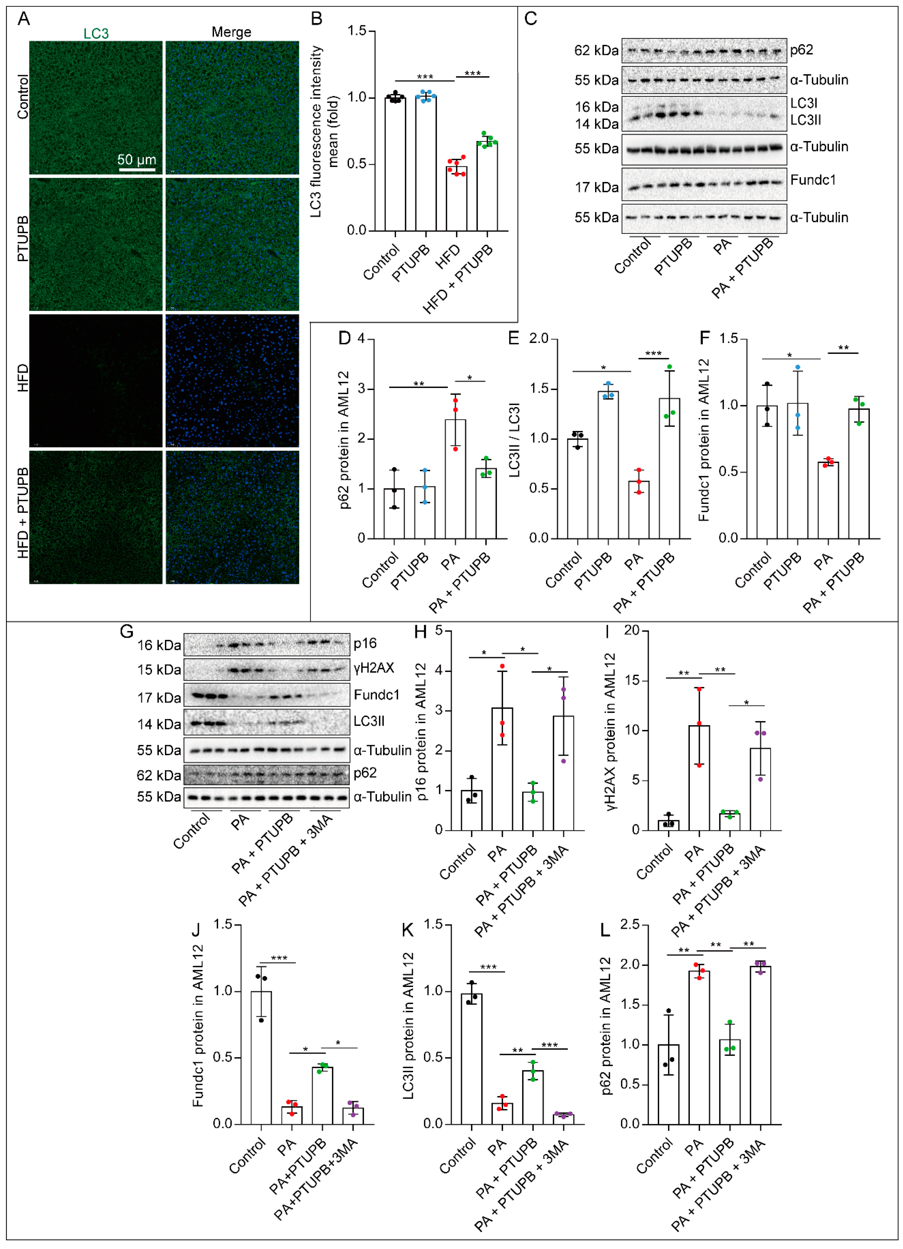 Ijms 23 08267 g005 550