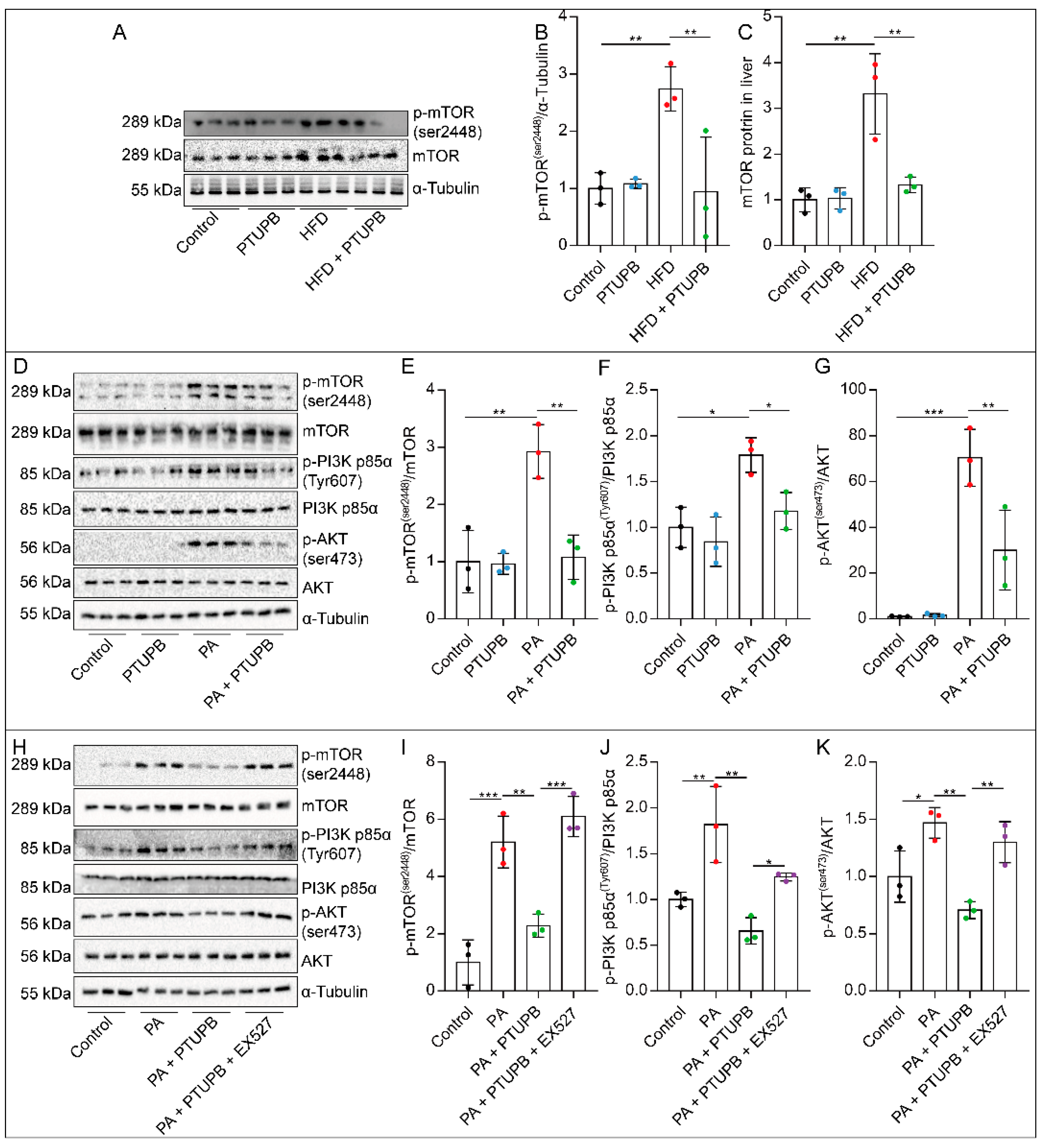 Ijms 23 08267 g007 550