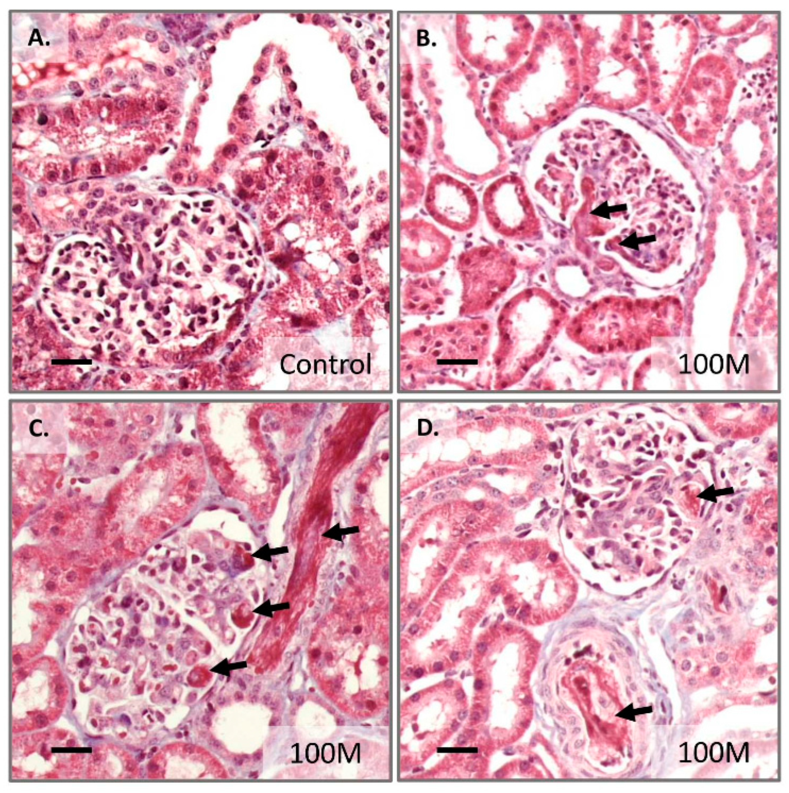 Ijms 23 08268 g007 550