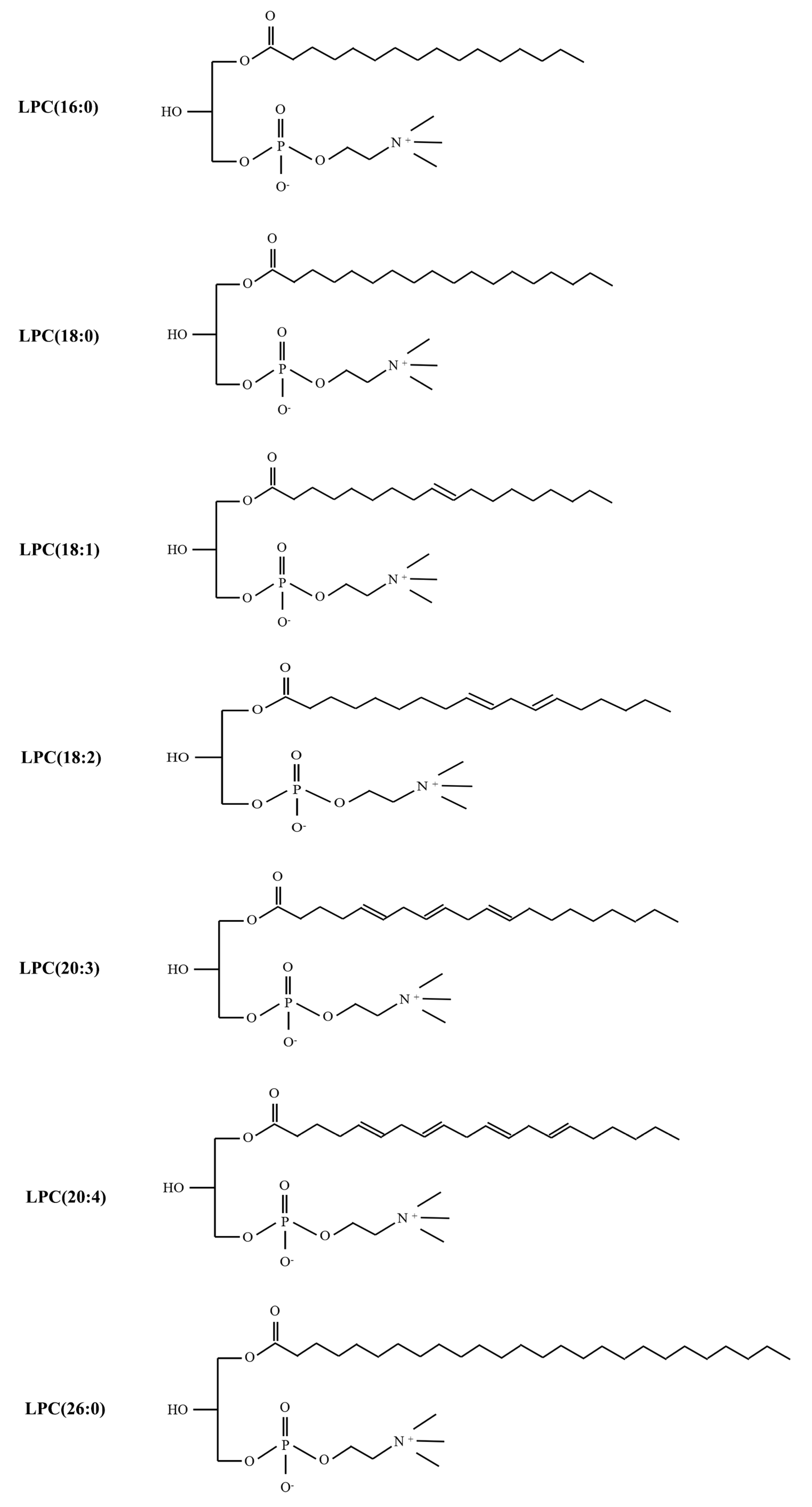 Ijms 23 08274 g003 Ijms 23 08274 g003