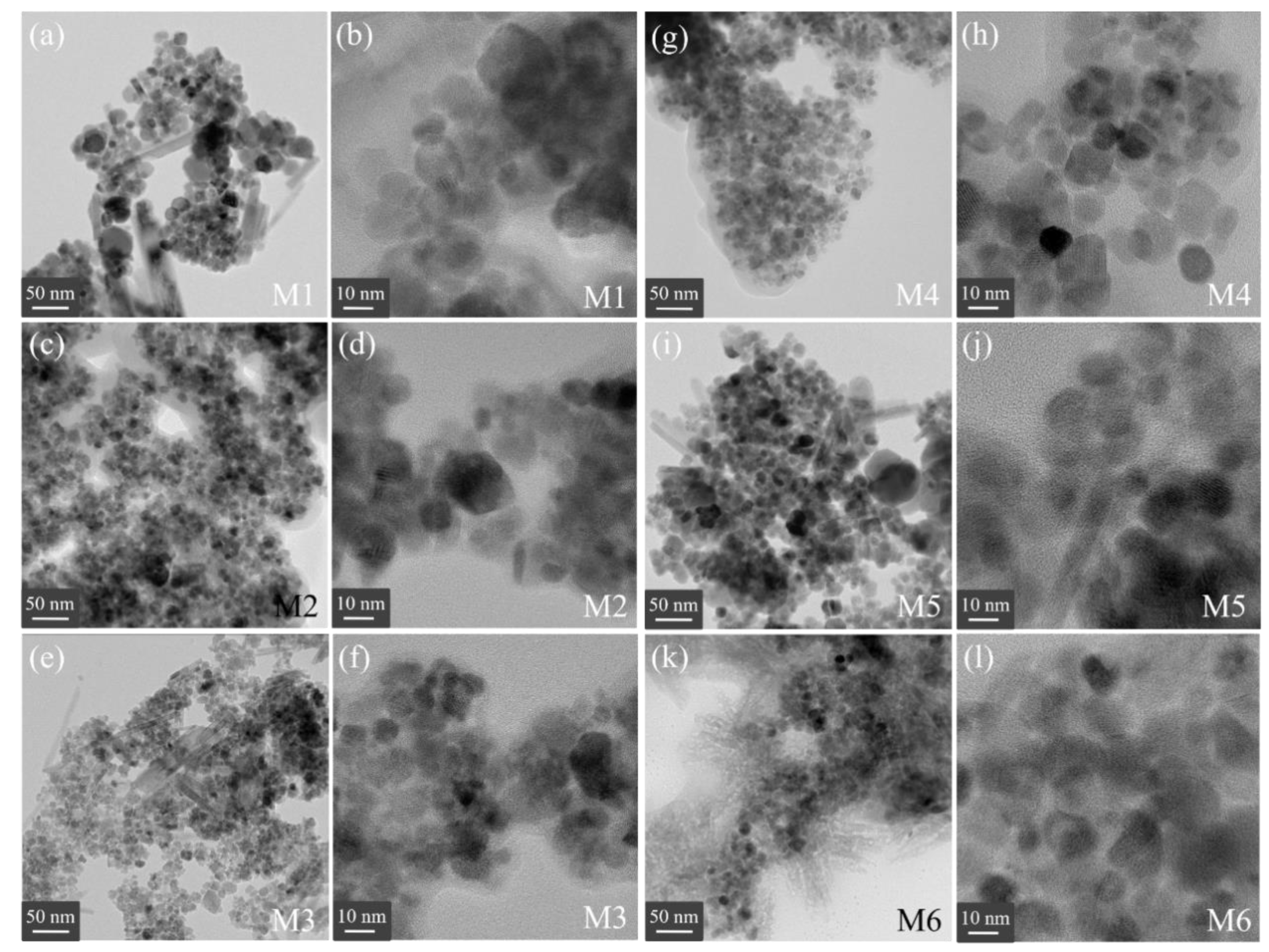 Ijms 23 08279 g006 550