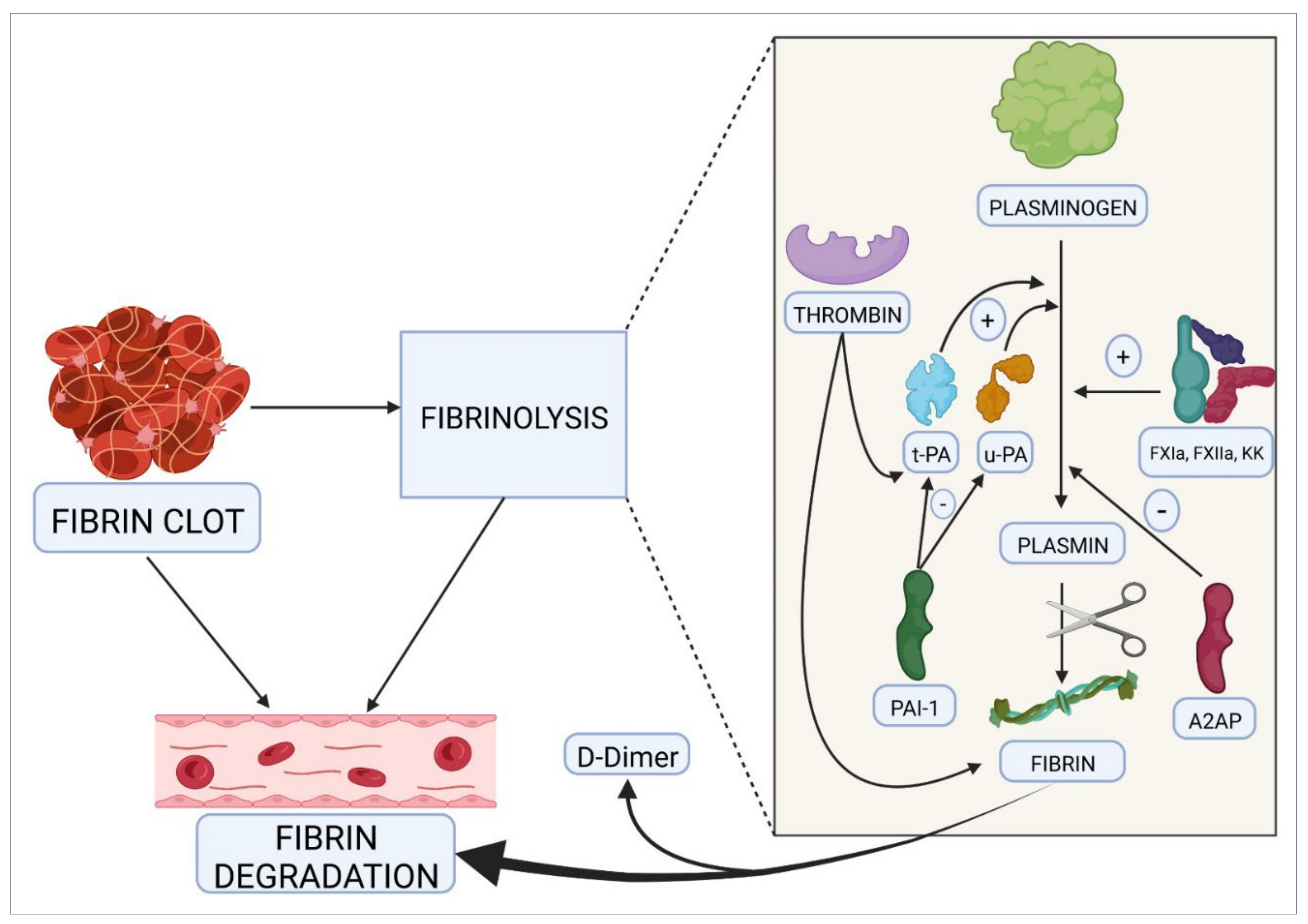 Ijms 23 08283 g002 Ijms 23 08283 g002