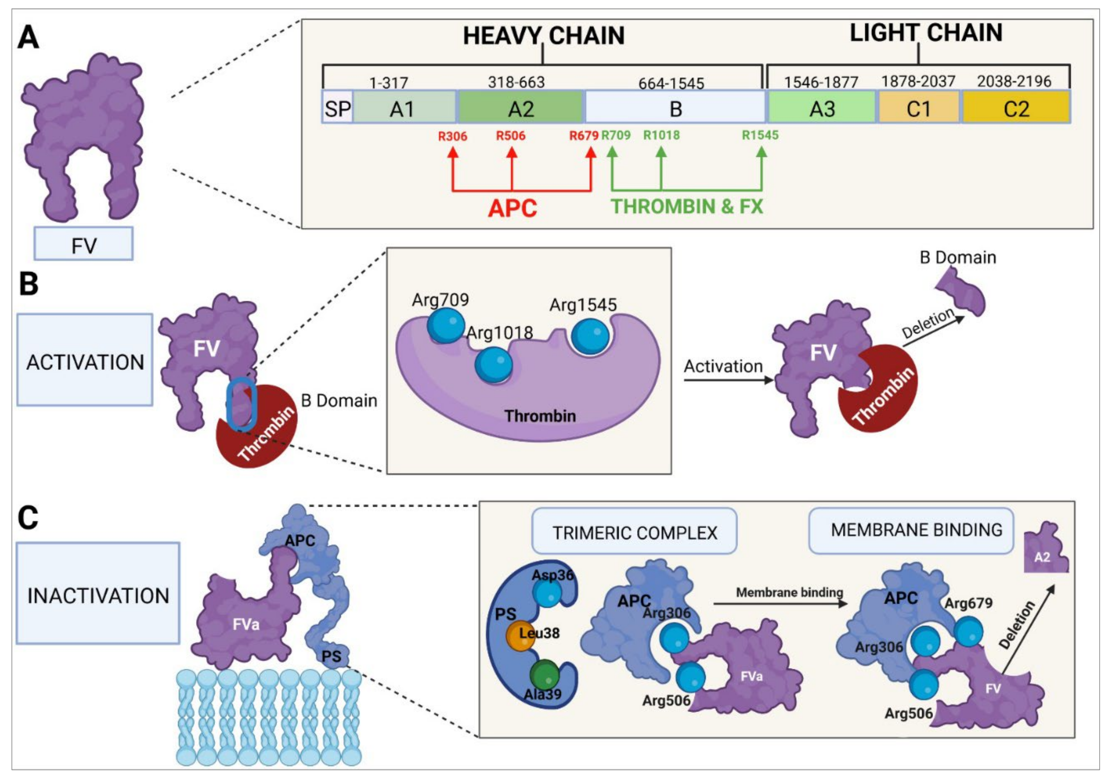 Ijms 23 08283 g005 Ijms 23 08283 g005