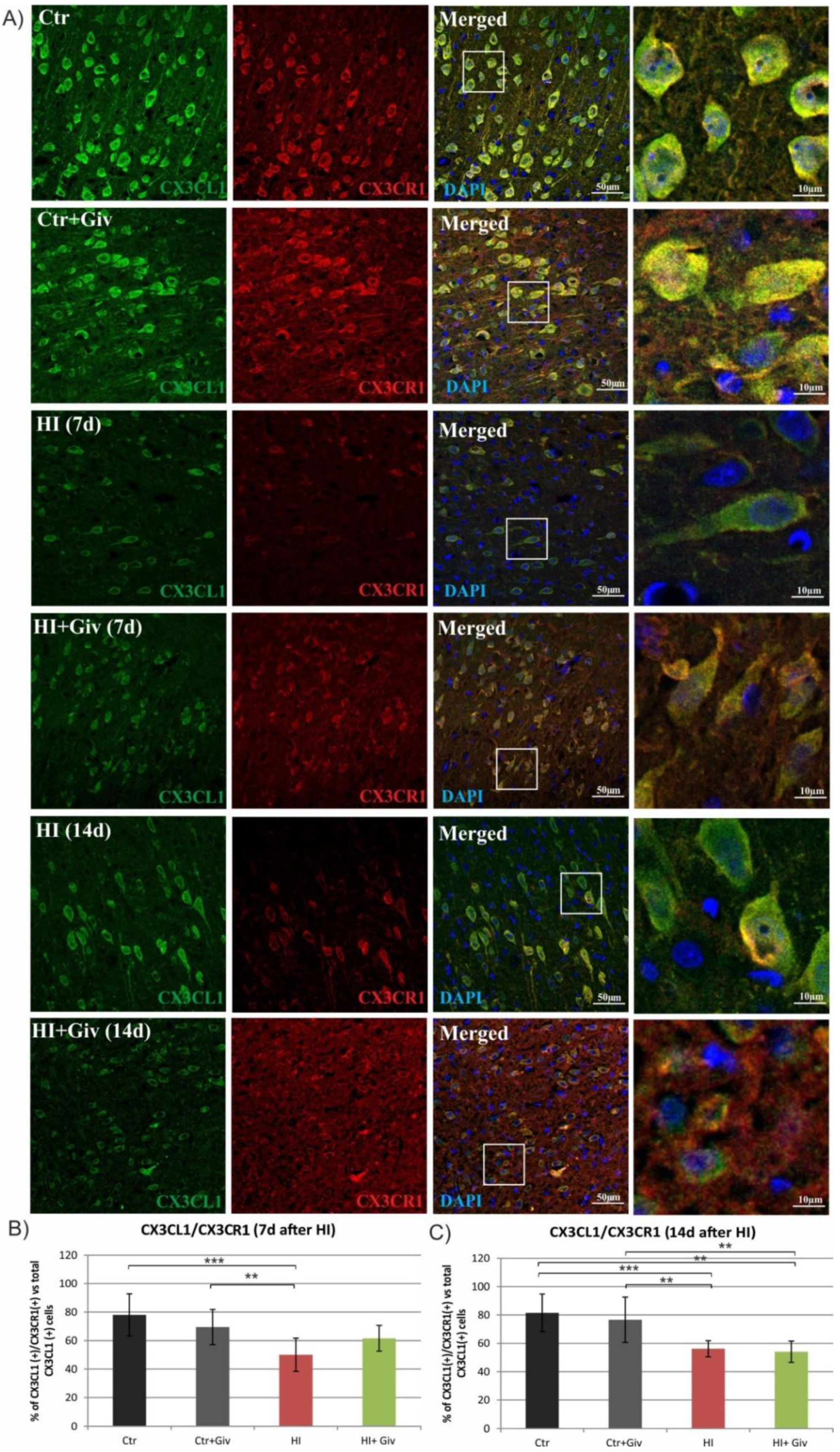 Ijms 23 08287 g006 550