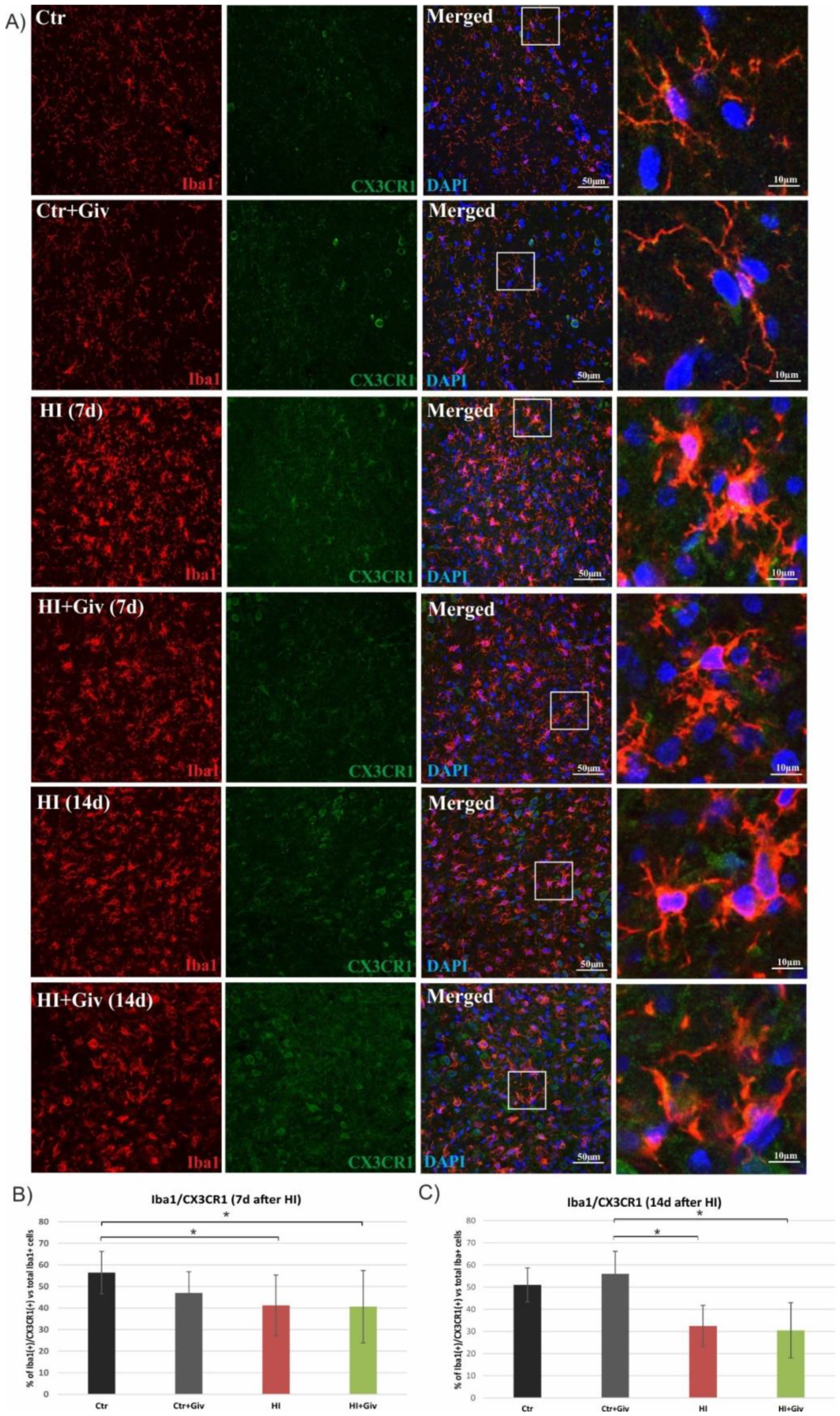 Ijms 23 08287 g007 550