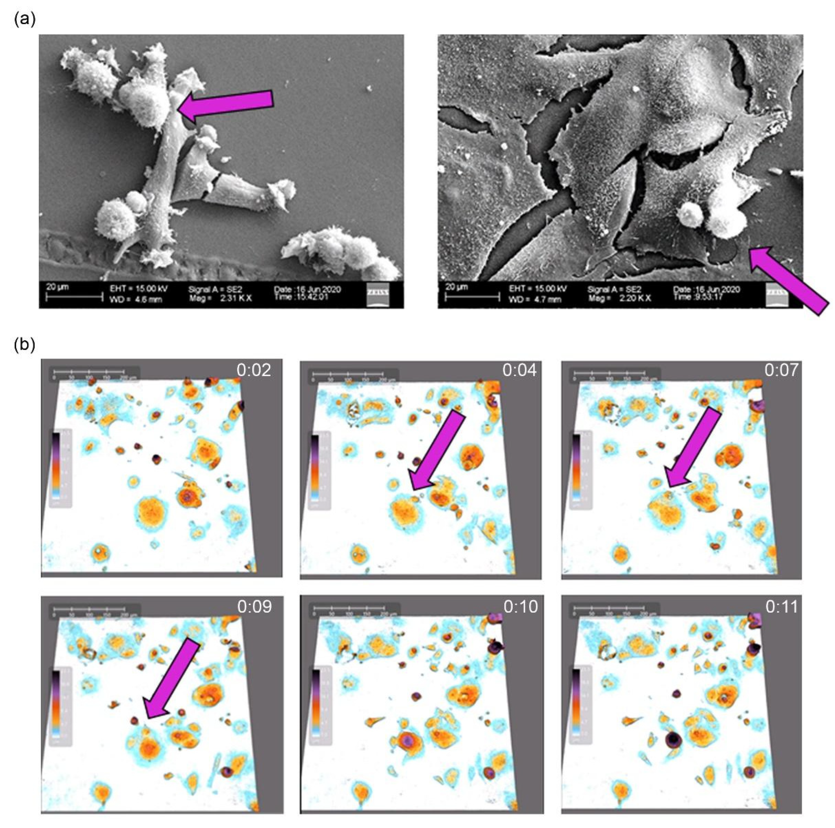 Ijms 23 08288 g002 Ijms 23 08288 g002