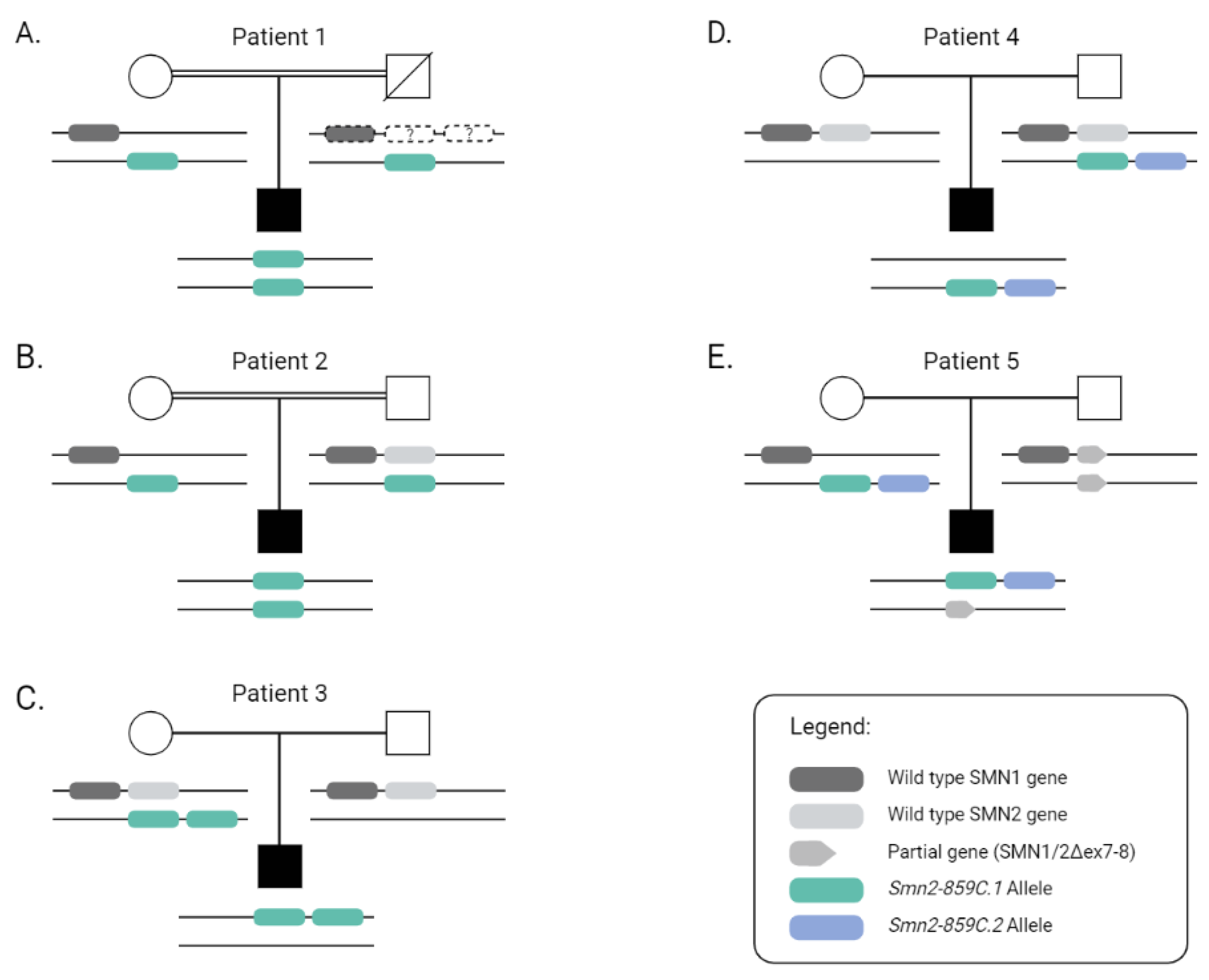 Deep Molecular Characterization of Milder Spinal Muscular Deep Molecular Characterization of Milder Spinal Muscular