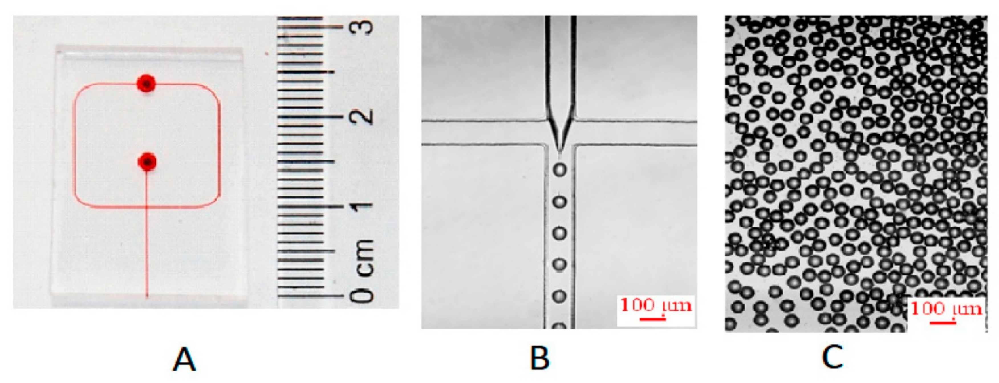 Ijms 23 08293 g007 550