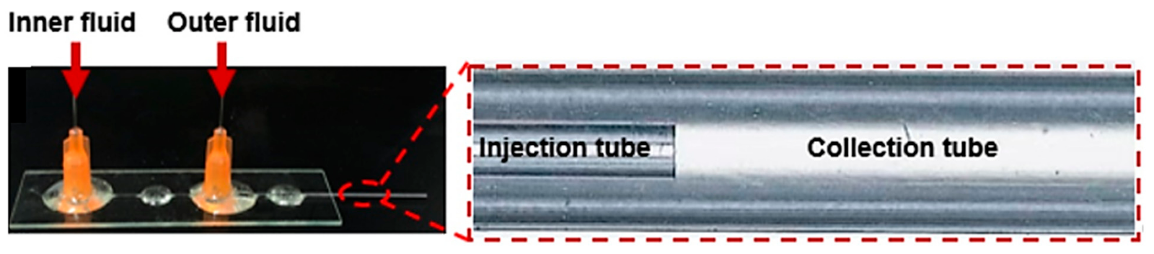 Ijms 23 08293 g009 550