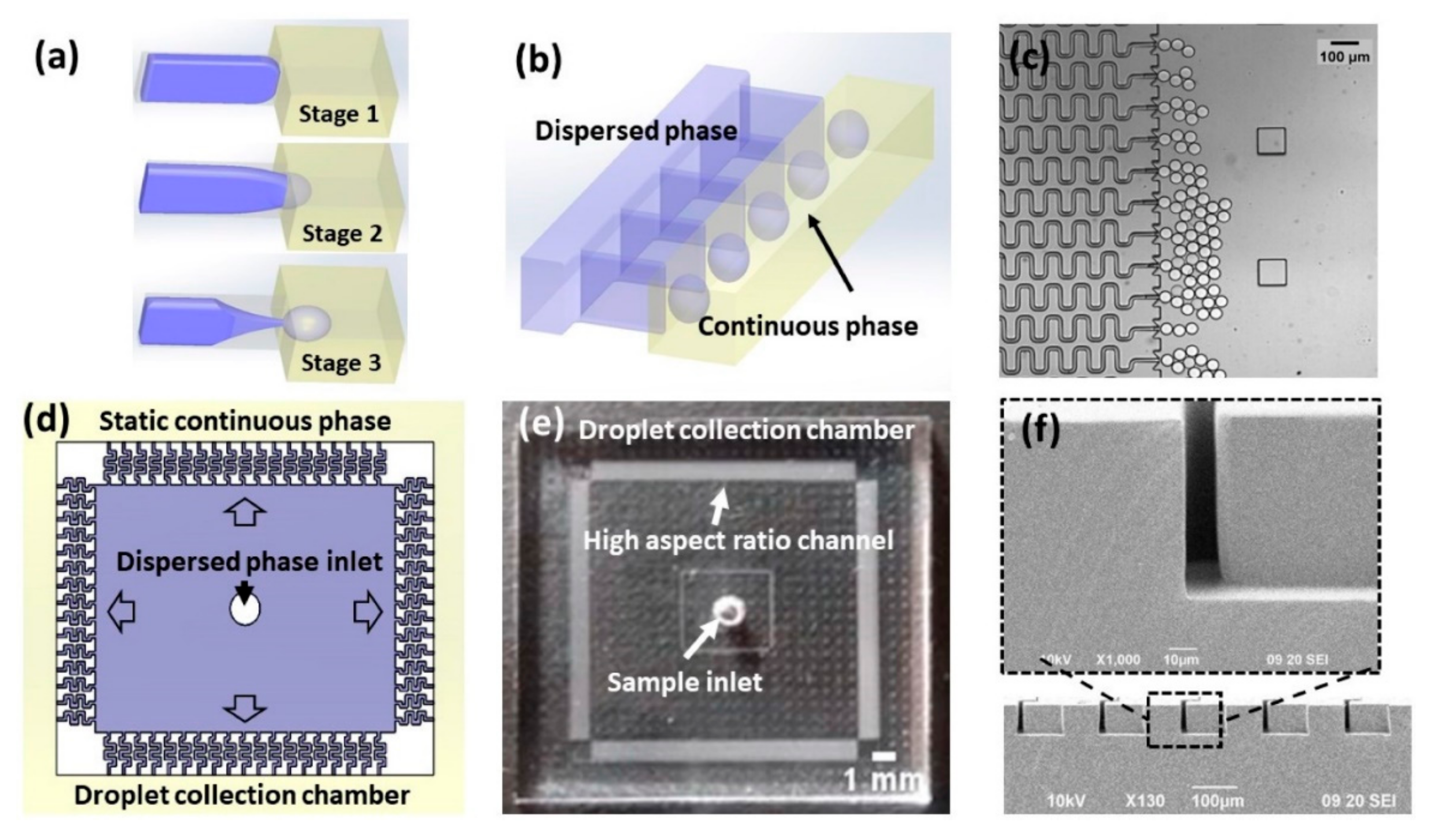 Ijms 23 08293 g018 550