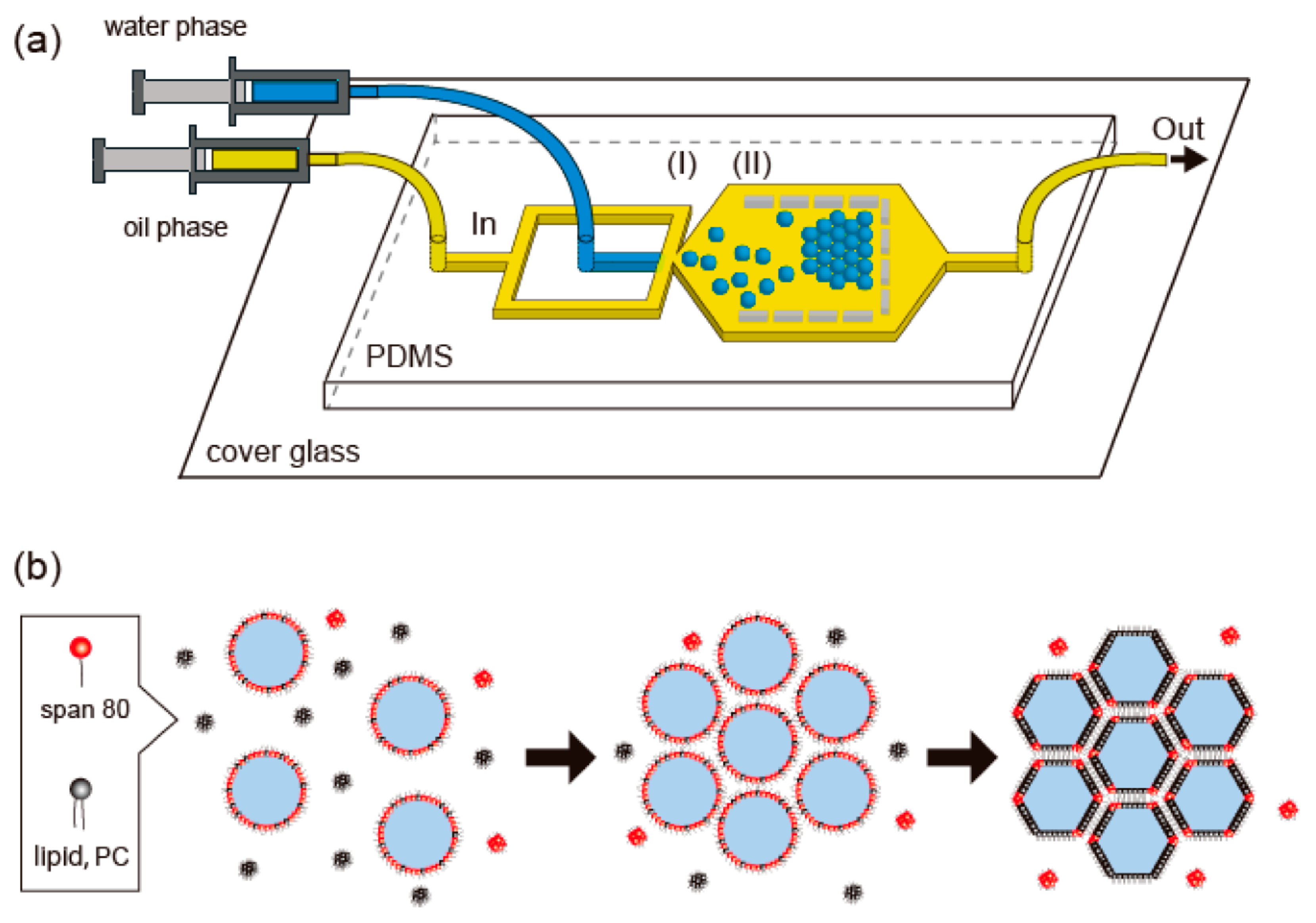 Ijms 23 08293 g027 550