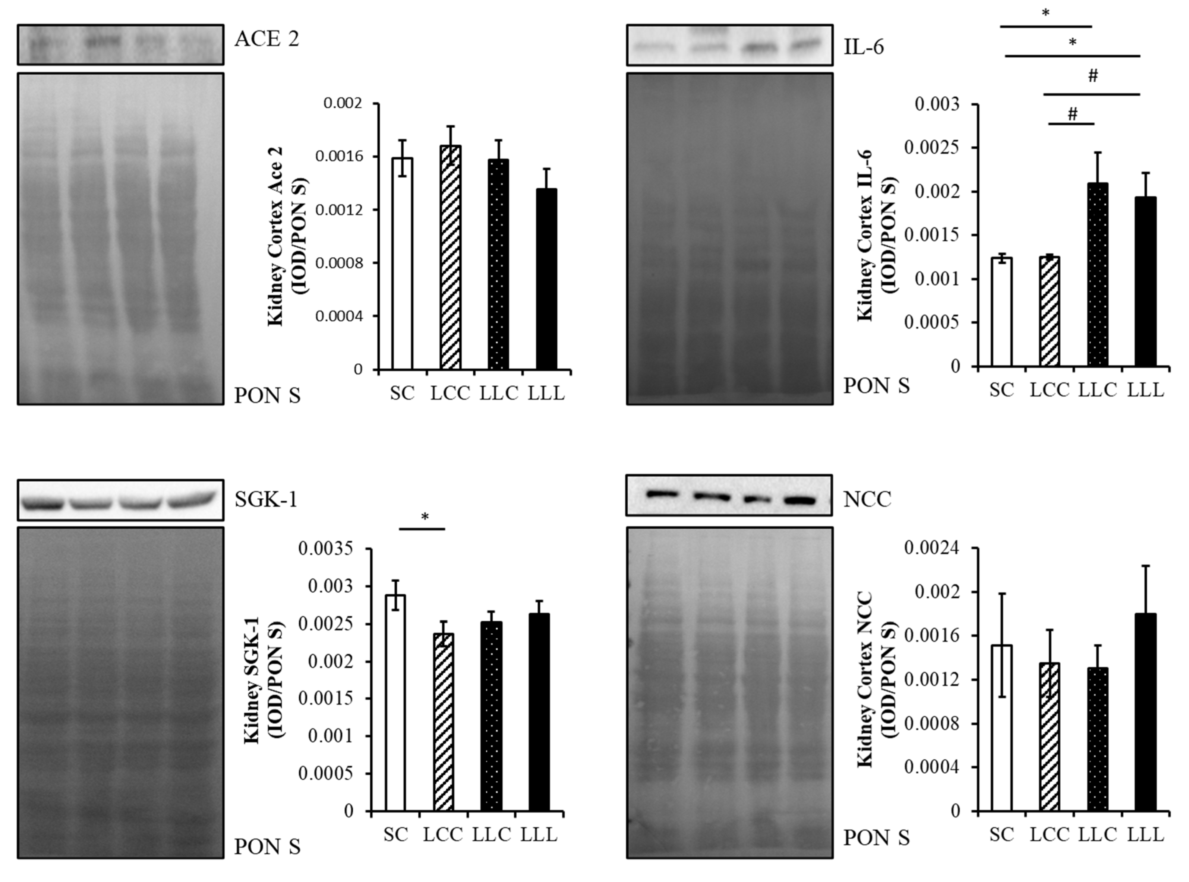 Ijms 23 08294 g005 550
