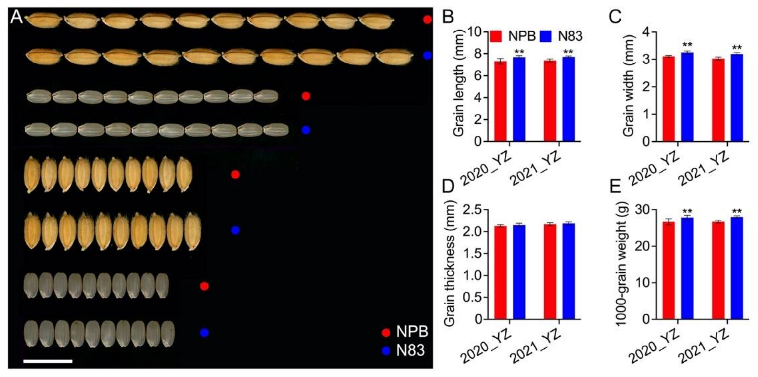 Ijms 23 08296 g002 550