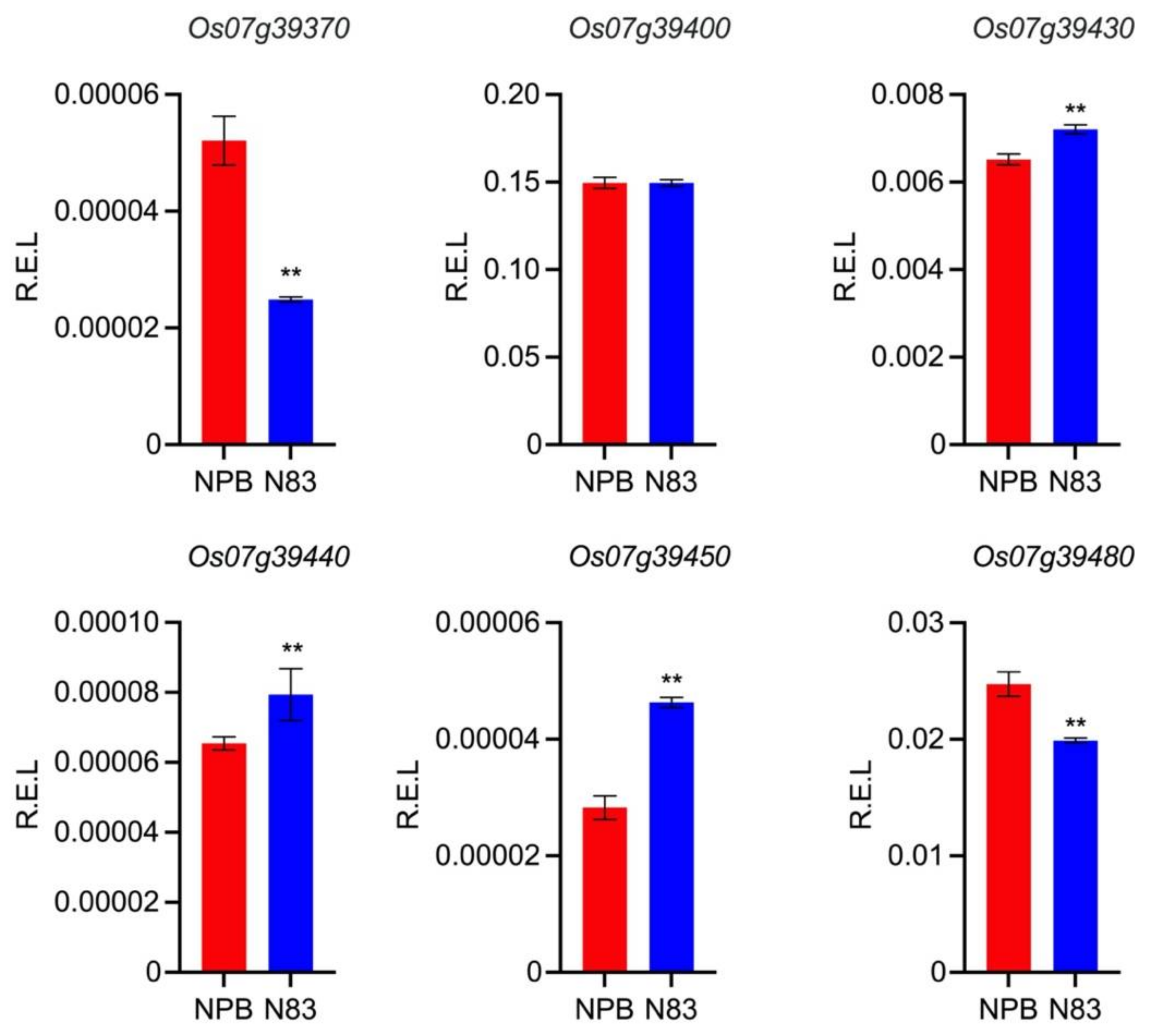 Ijms 23 08296 g007 550