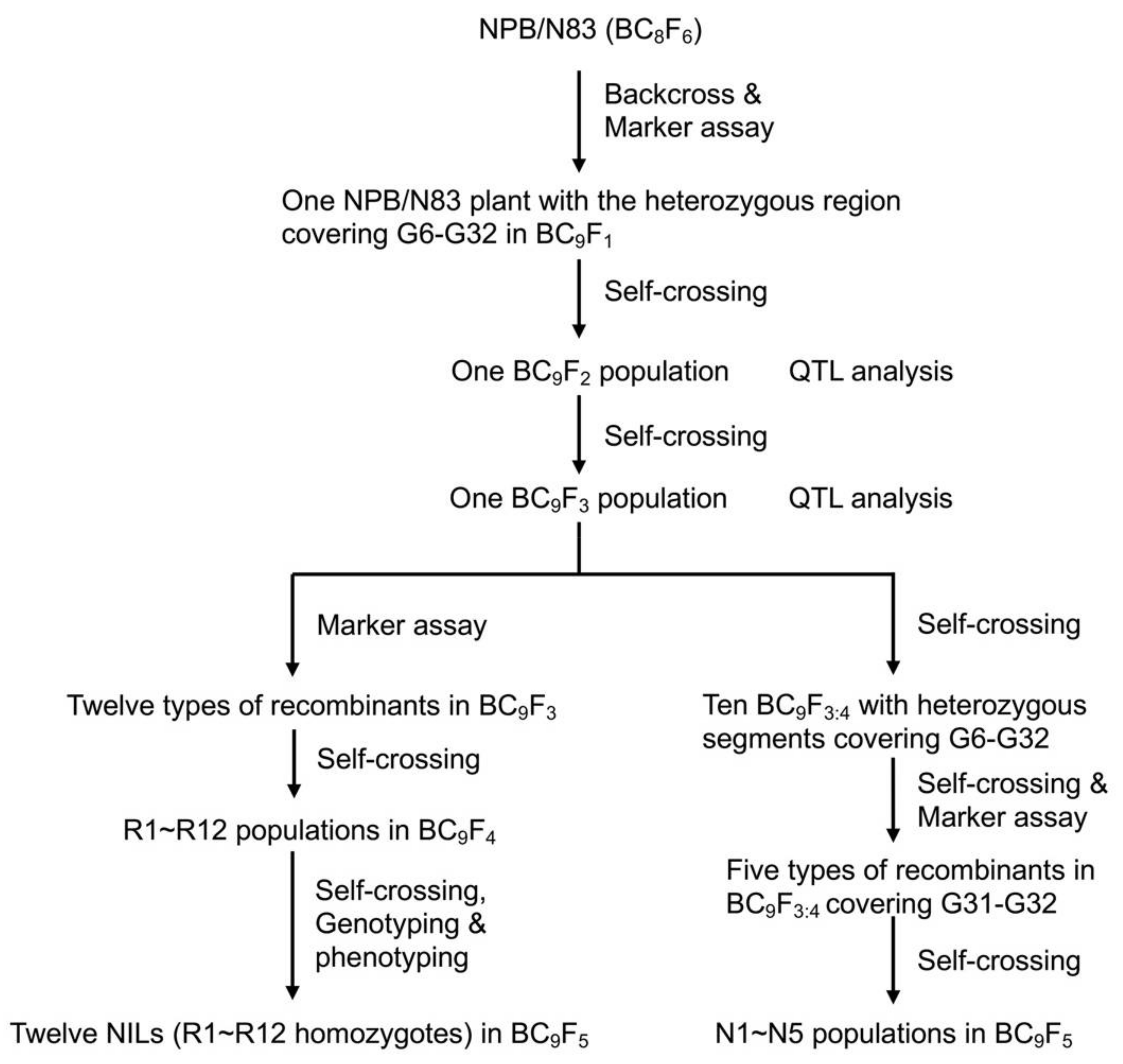 Ijms 23 08296 g008 550