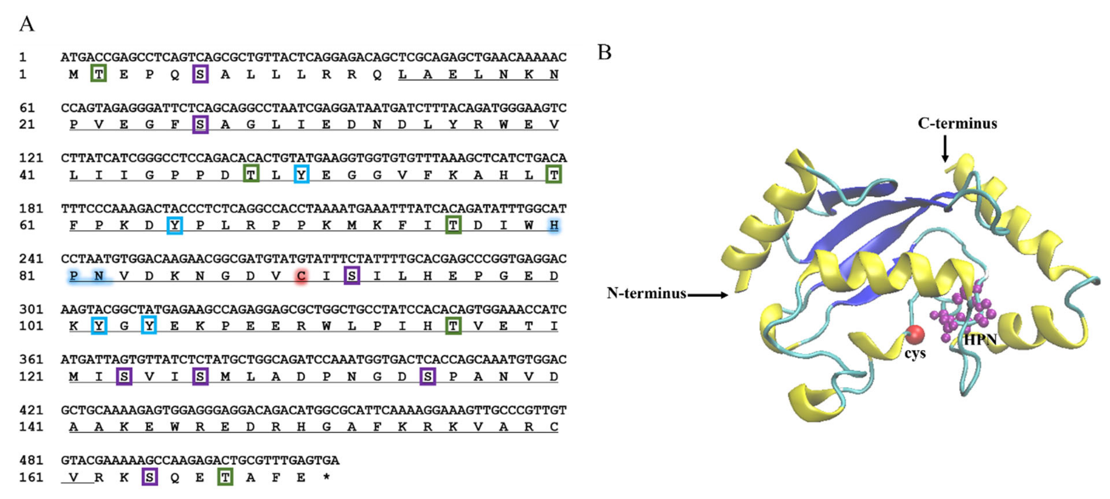 Ijms 23 08298 g001 550
