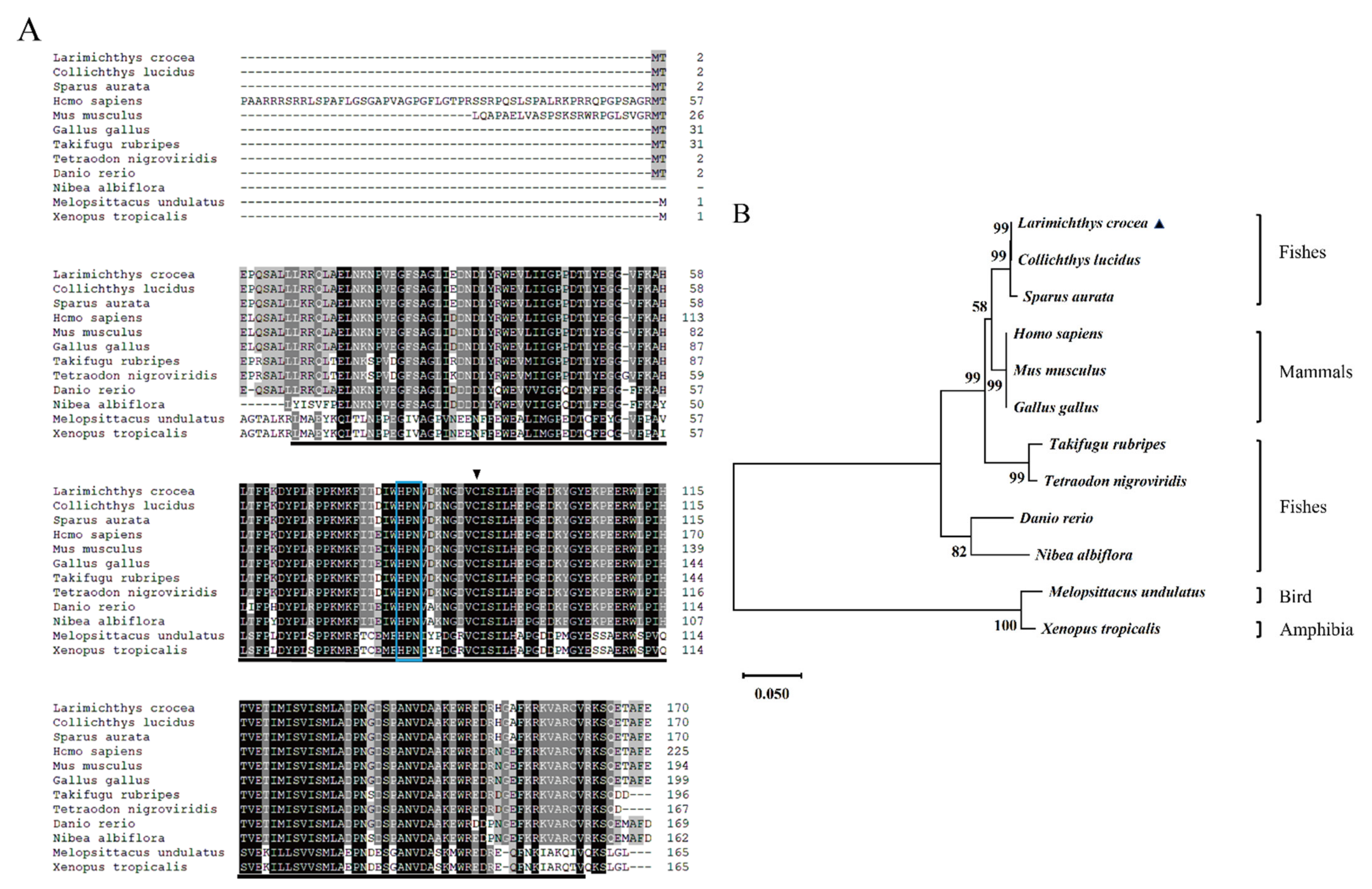 Ijms 23 08298 g002 550