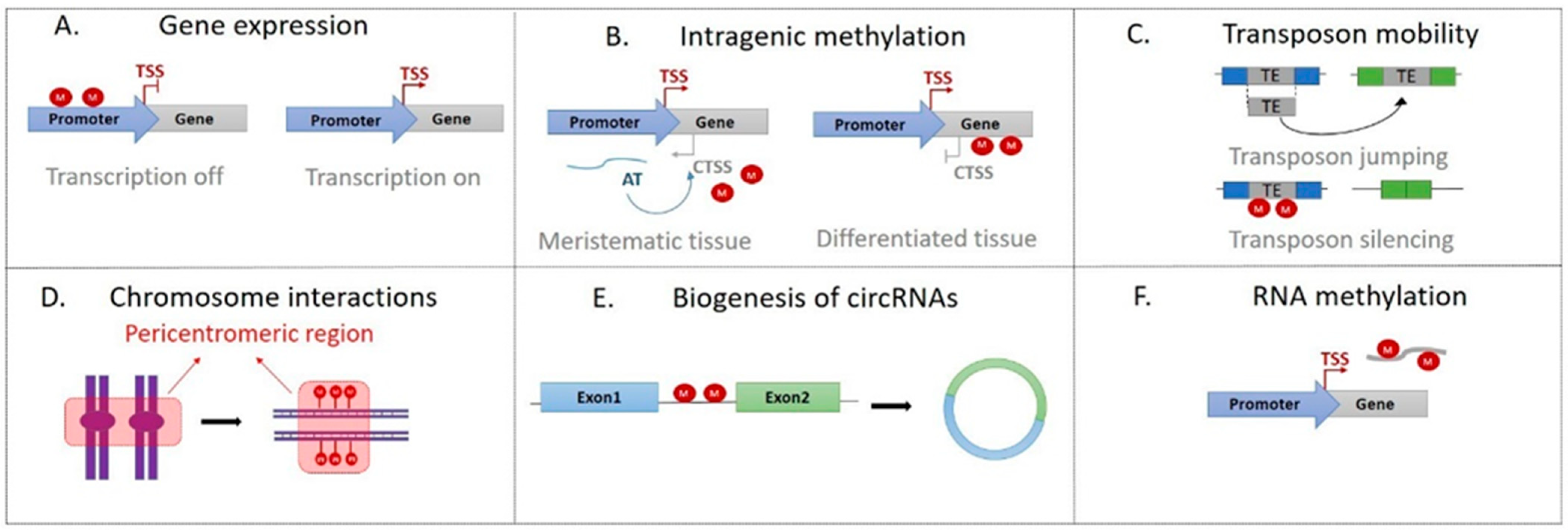 Ijms 23 08299 g002 Ijms 23 08299 g002