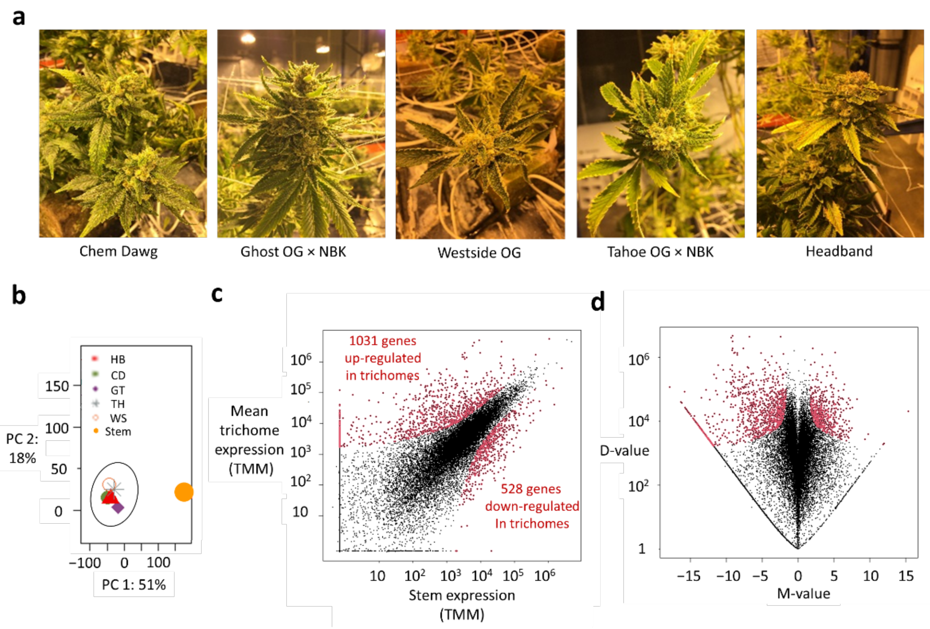 Ijms 23 08310 g001 550