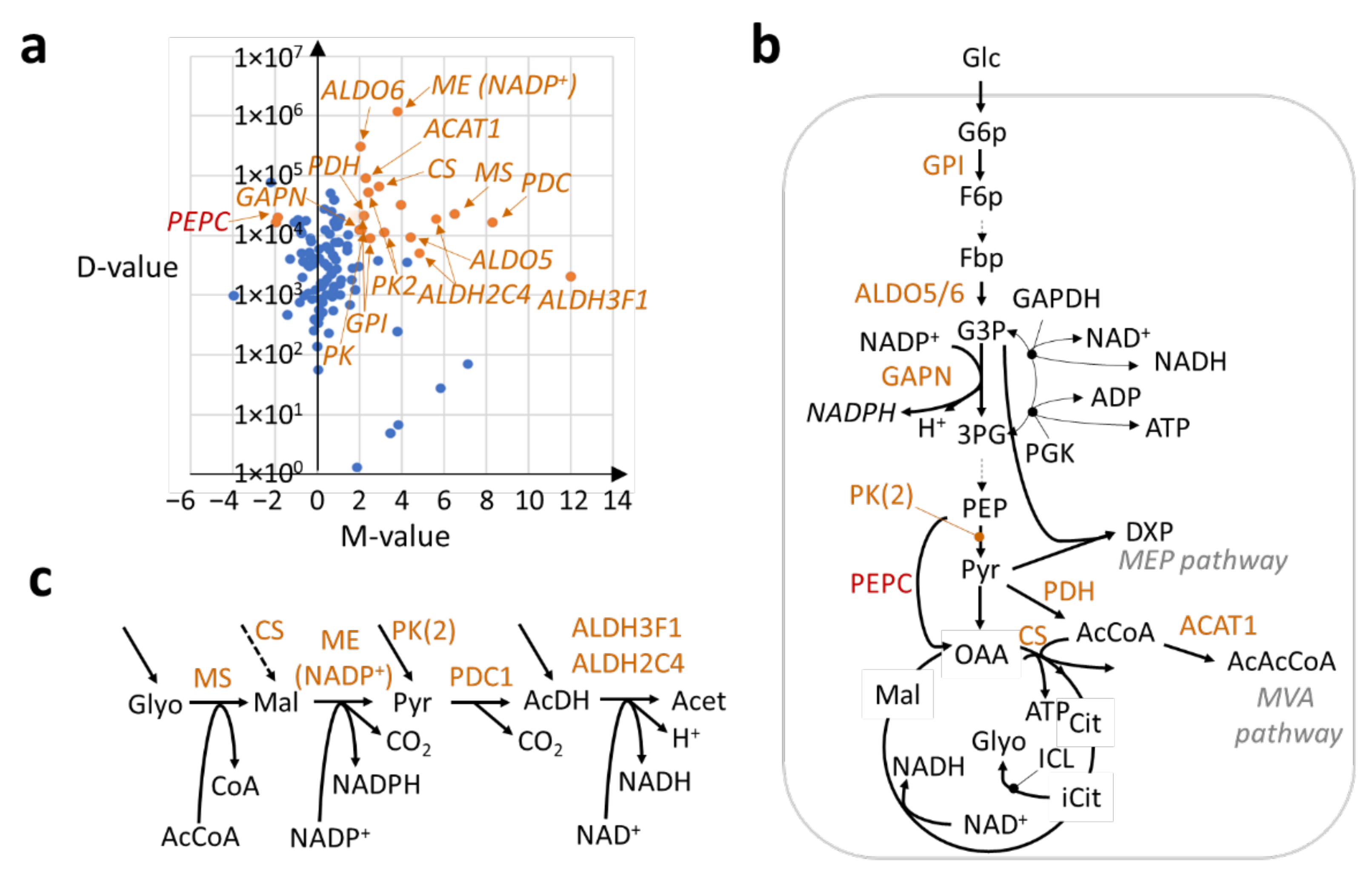 Ijms 23 08310 g002 550
