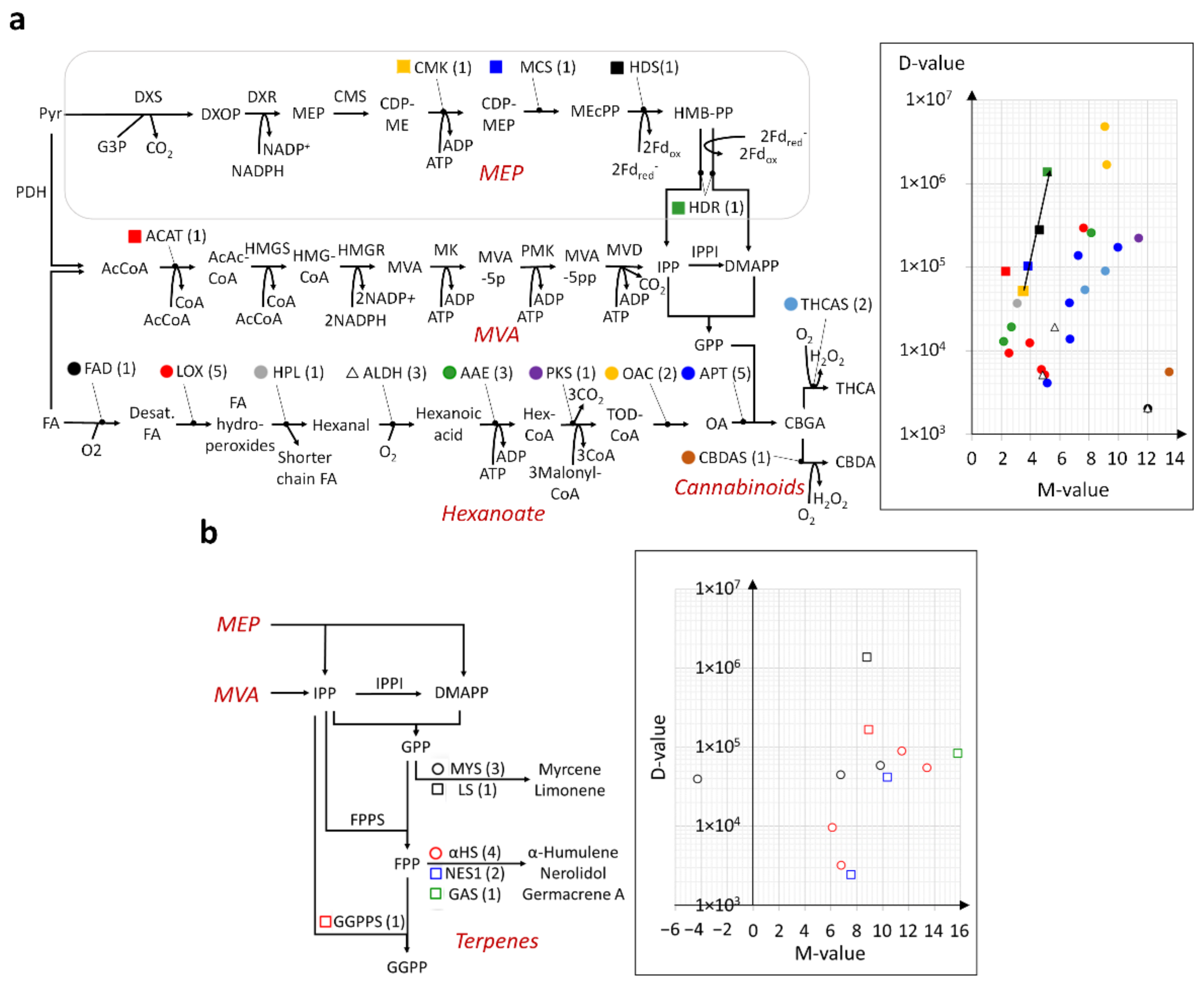 Ijms 23 08310 g003 550
