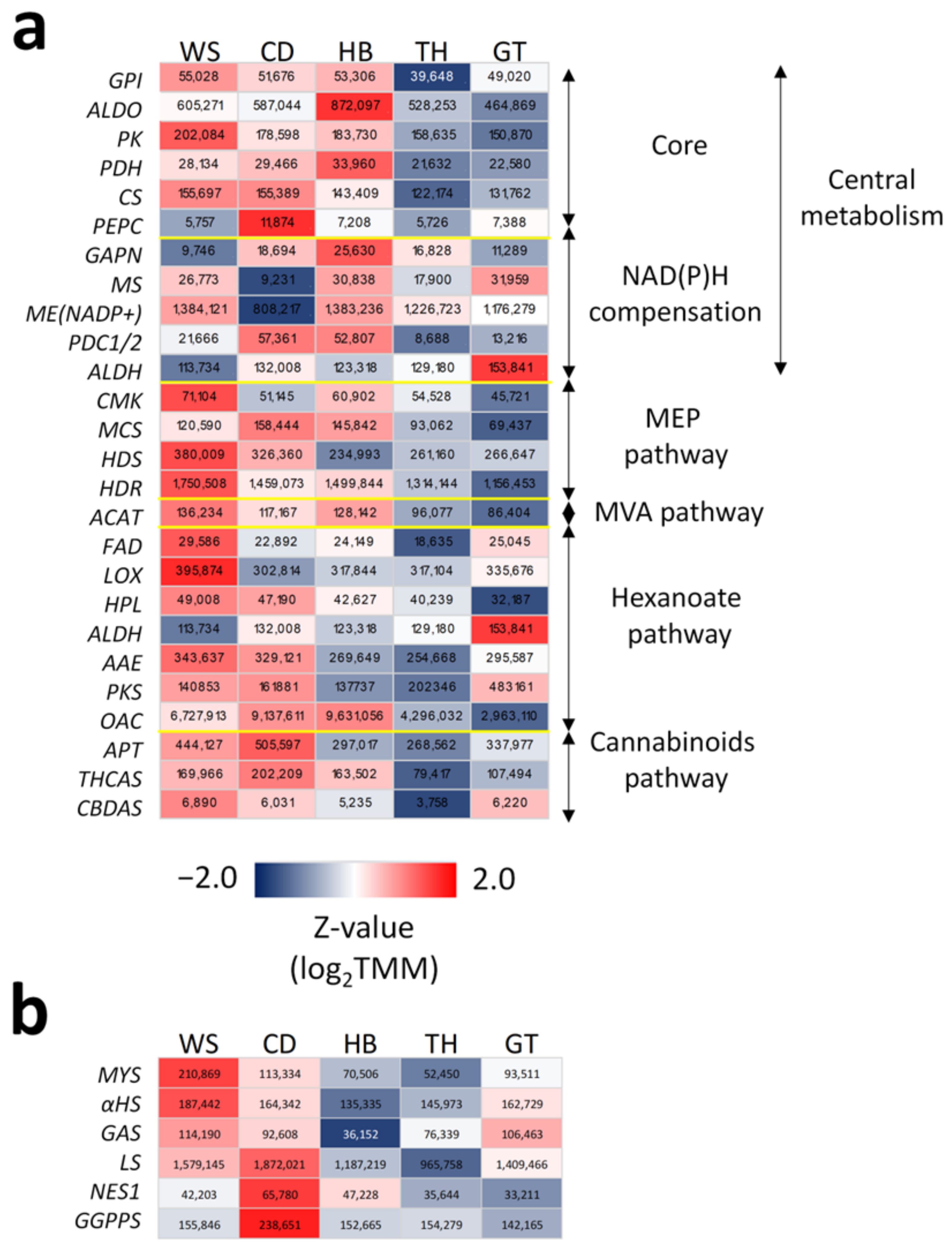 Ijms 23 08310 g004 550