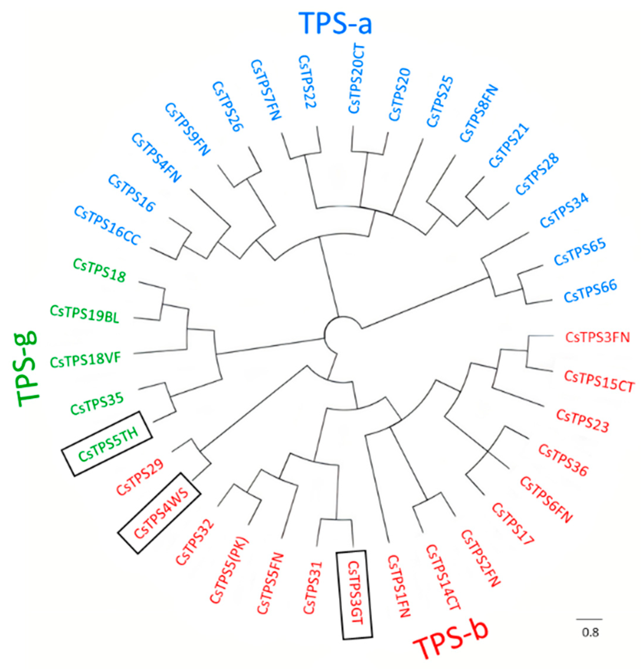 Ijms 23 08310 g005 550