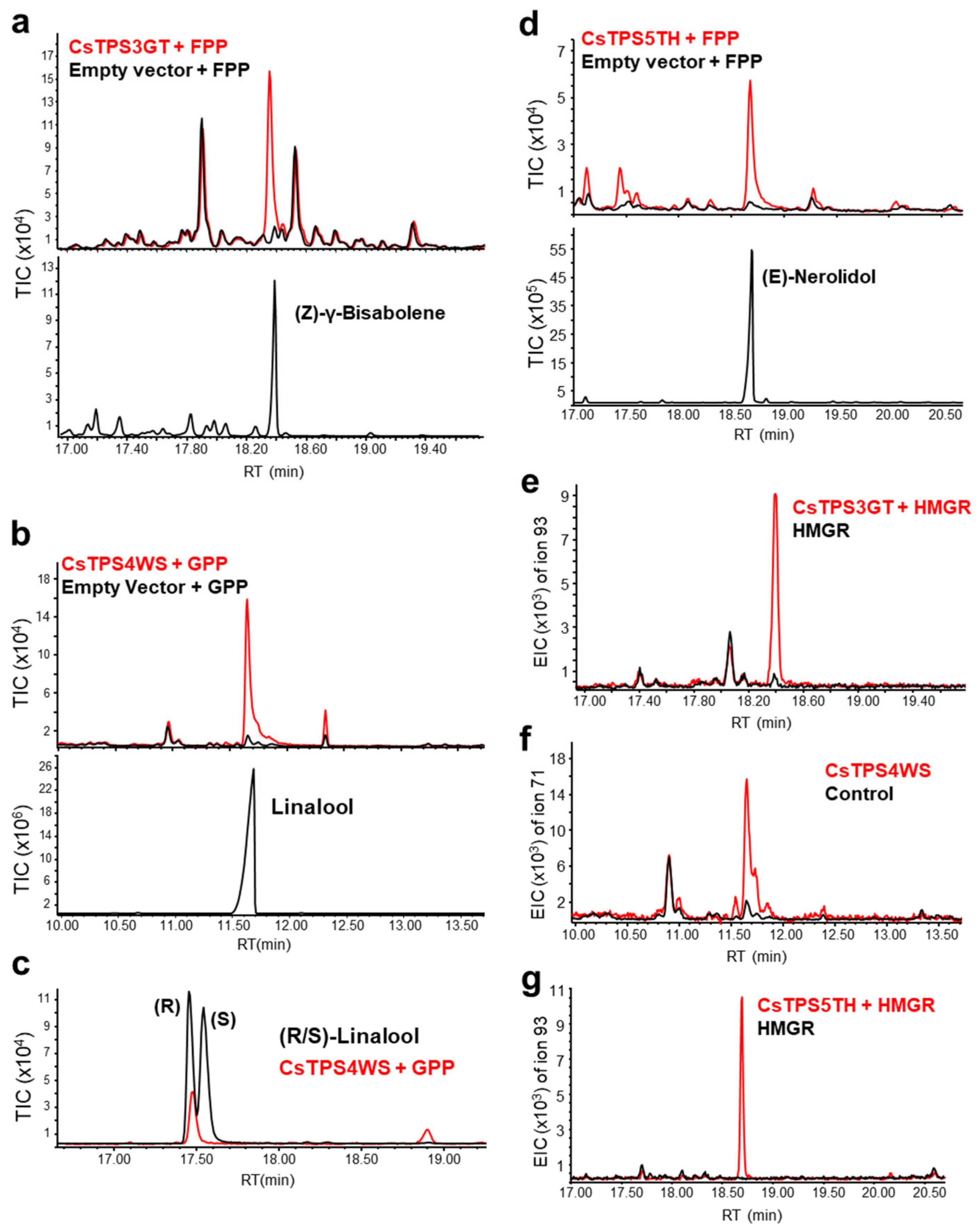 Ijms 23 08310 g007 550