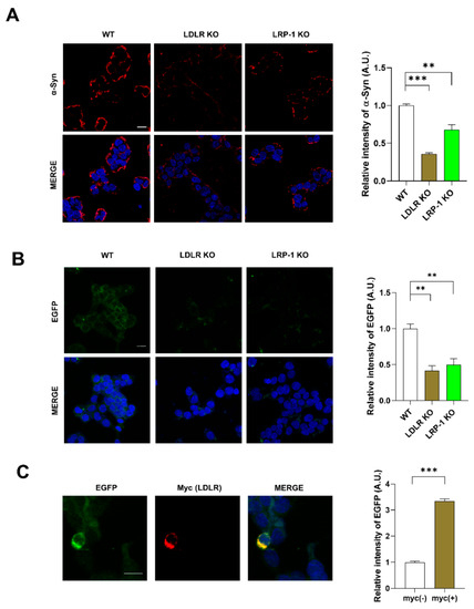 International Journal of Molecular Sciences An Open Access Journal