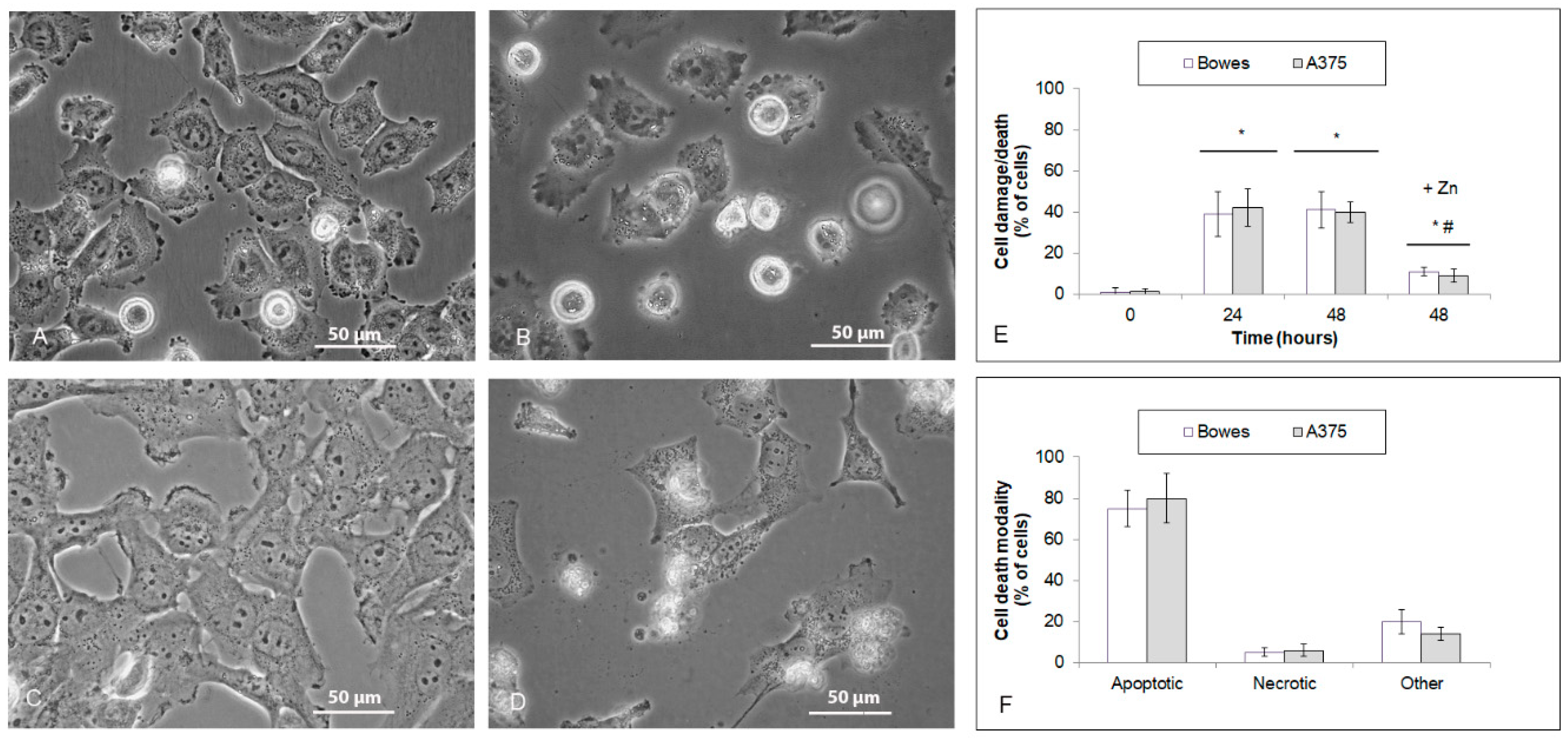 Ijms 23 08312 g005 550