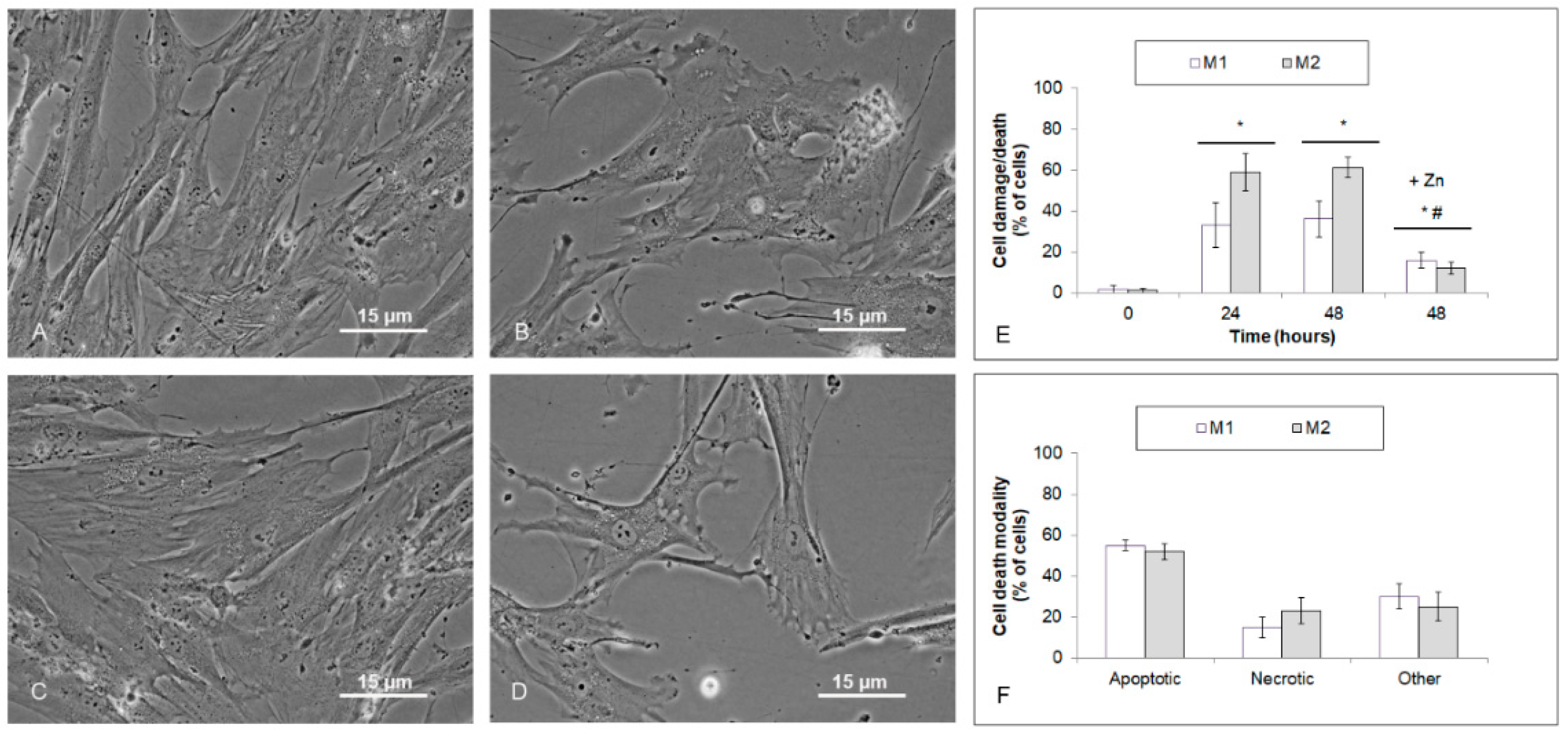 Ijms 23 08312 g006 550