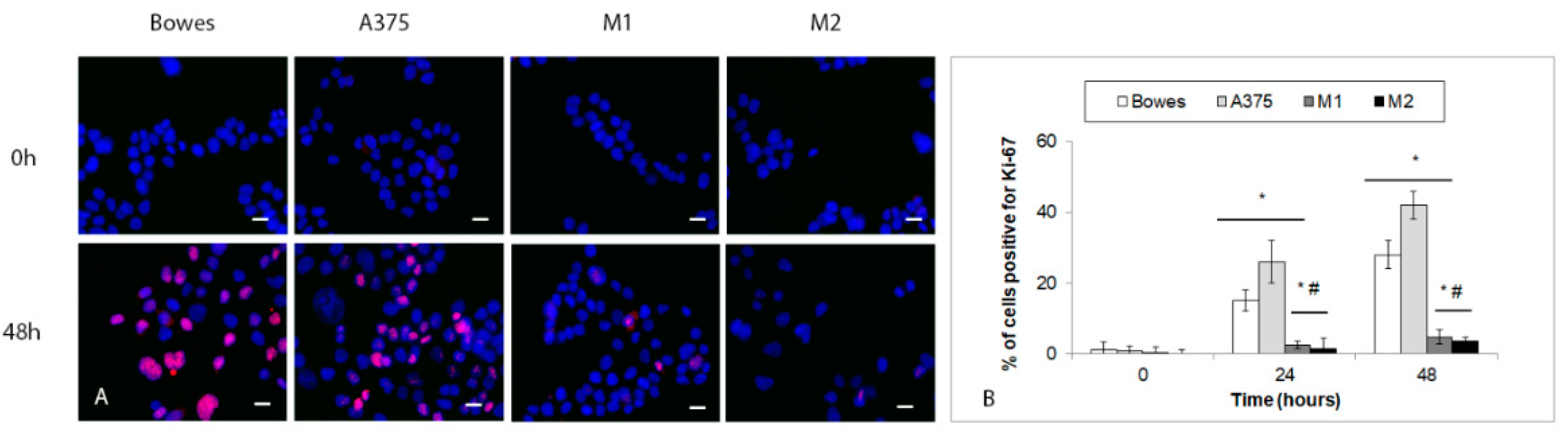 Ijms 23 08312 g010 550