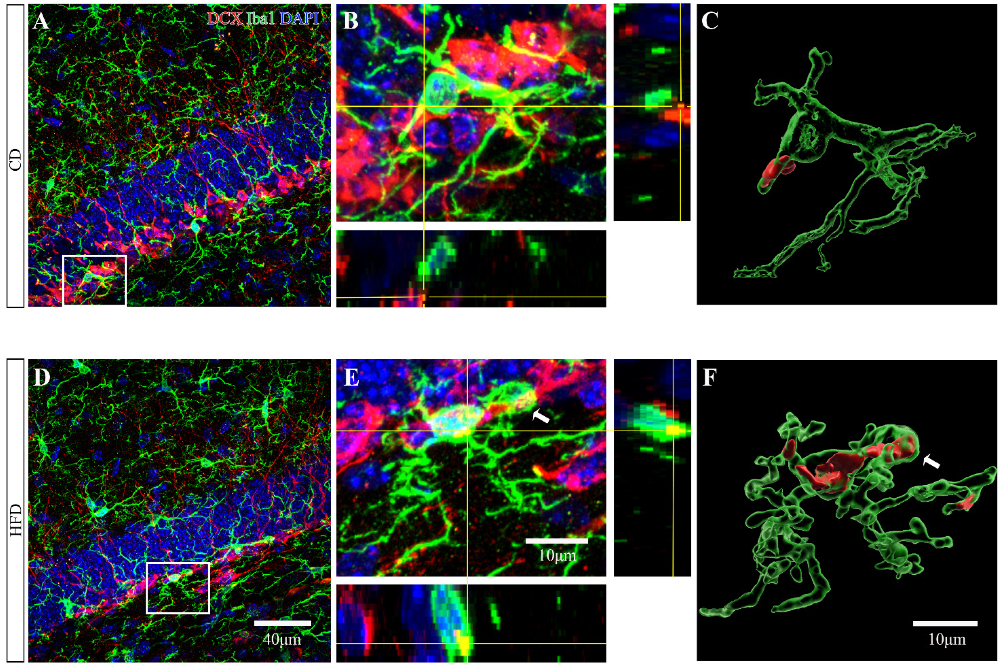Ijms 23 08316 g007 550