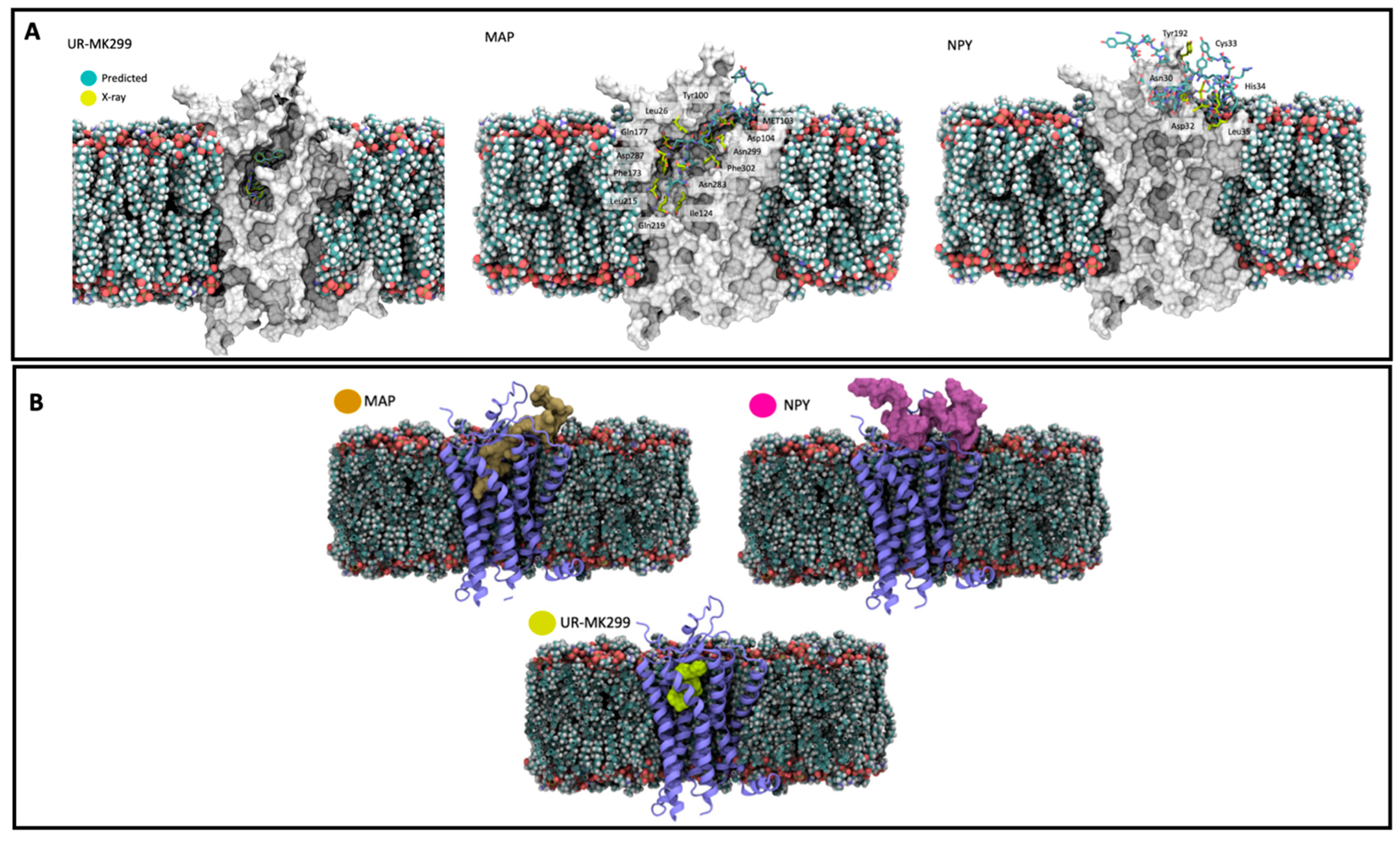 Ijms 23 08322 g003 550