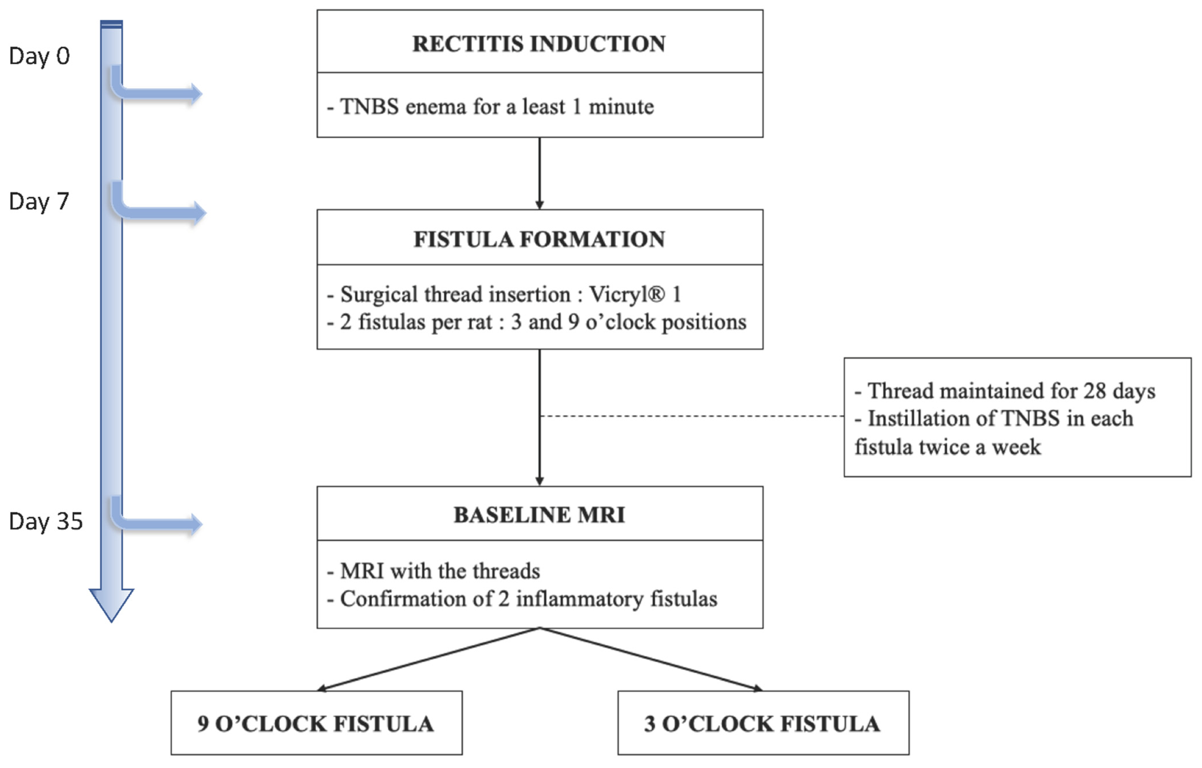 Ijms 23 08324 g004 550